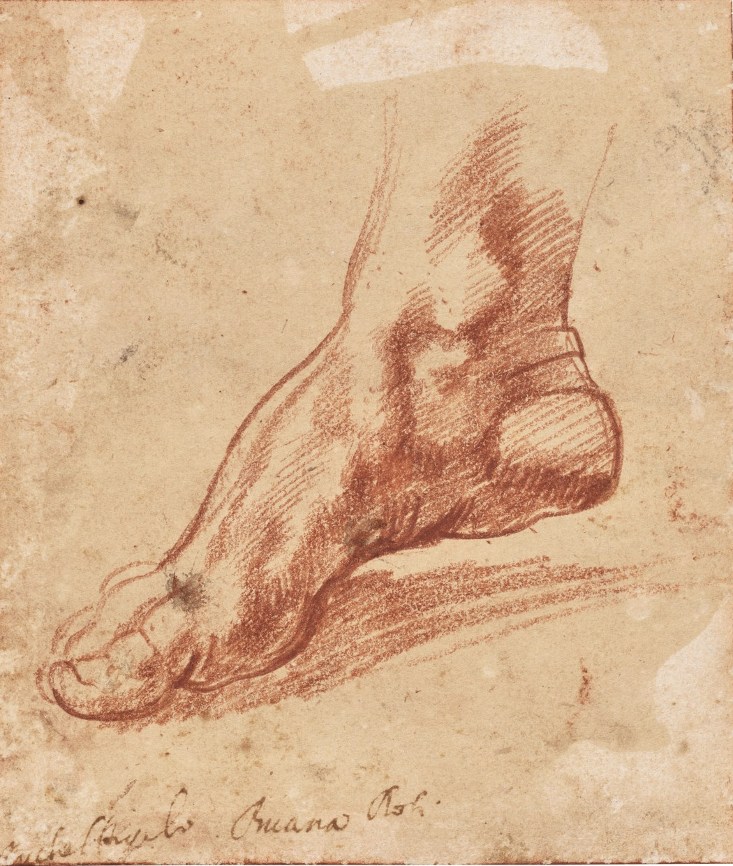 Michelangelo Buonarroti (Caprese 1475-1564 Rome)
Study for a foot of the Libyan Sibyl (recto); Study of a leg with knee bent (verso)
with ink inscription 'Michel Angelo Buana Roti' (lower left)
red chalk (recto); black chalk (verso)
5 ¼ x 4 5⁄8 in. 
