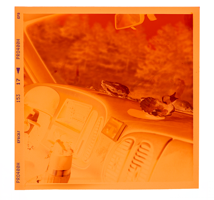 Negative Scanning Only - 120mm Roll