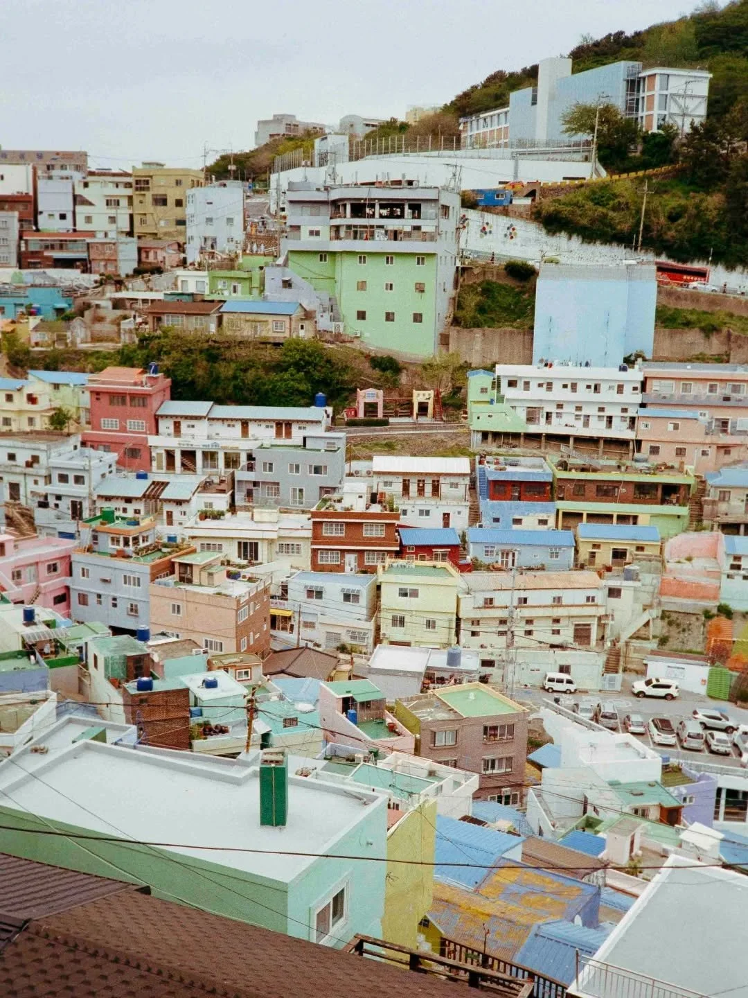 Chasing colors up the hillside.⁠
⁠
Photo by @outback_zach⁠
Film processing by @primitivephotolabs⁠
⁠
#filmallover #shootitwithfilm #analogwomen #seasonedfilm #35mmfilm #selfportraitonfilm #restorefrombackup #sheshootsfilm #photofilmy #wedevelop #film