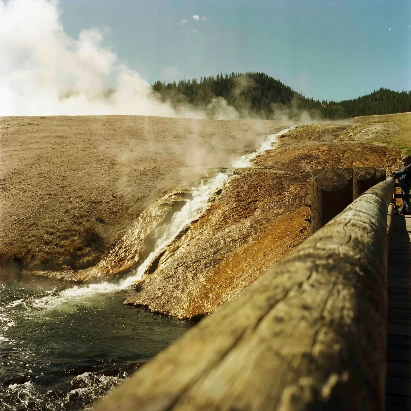 Yellowstone in September 
Shot in 2022 on Yashica Mat-124⁠
Film Processing by @primitivephotolabs
⁠
#HeyLomography #FilmAllOver #120love #Yellowstone #SheShootsFilm #FemaleFilmShooters #AnalogWomen #FilmLifeMagazine #RemainsOfLight #TheFilmSorority #