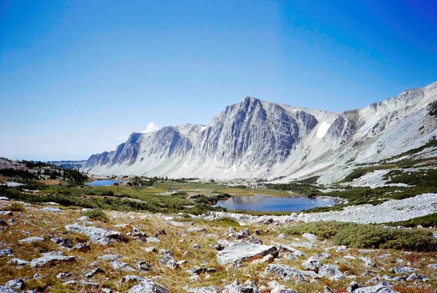 Medicine Bow Peak, Wyoming⁠
Grateful to be processing Sam's photos. She's been developing her film with me for a few years now and it's an honor to have regulars come around that trust me with their film. Thank you, Sam!⁠
⁠
Photo by @shamz_luby13⁠
Pr