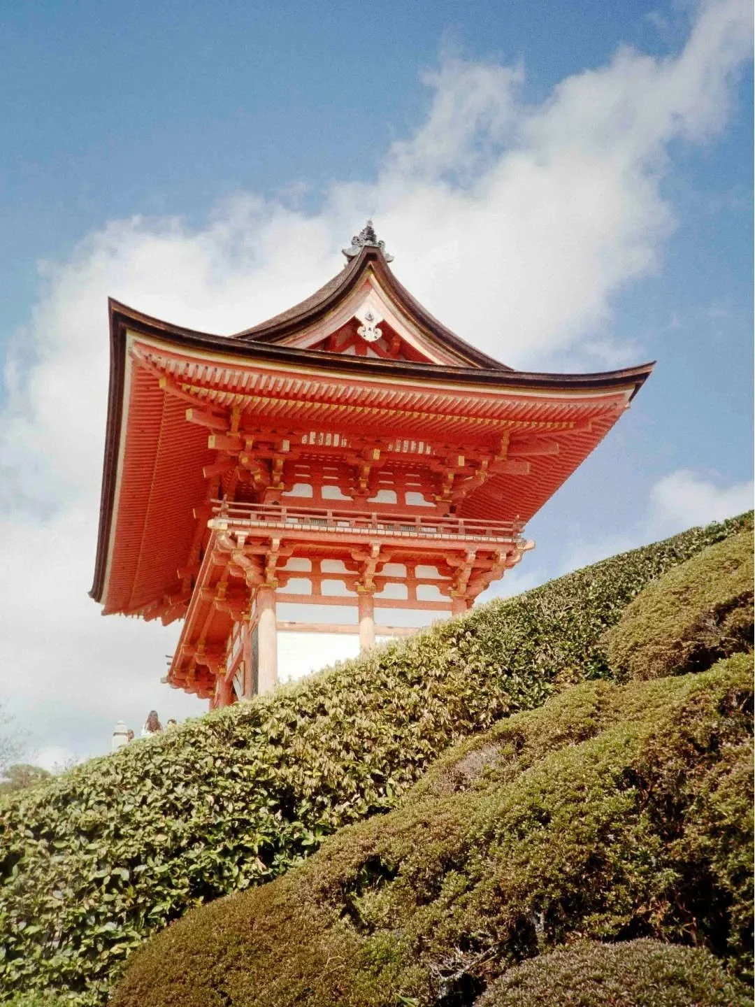 Can't get over this composition shot by @rowbradley⁠
Definitely one of those photos that I had to sit with for a moment after scanning, just breathtaking.⁠
Thanks for the share, Rowan!⁠
⁠
Film processing by @primitivephotolabs⁠
⁠
#35mmFilm #AnalogFea