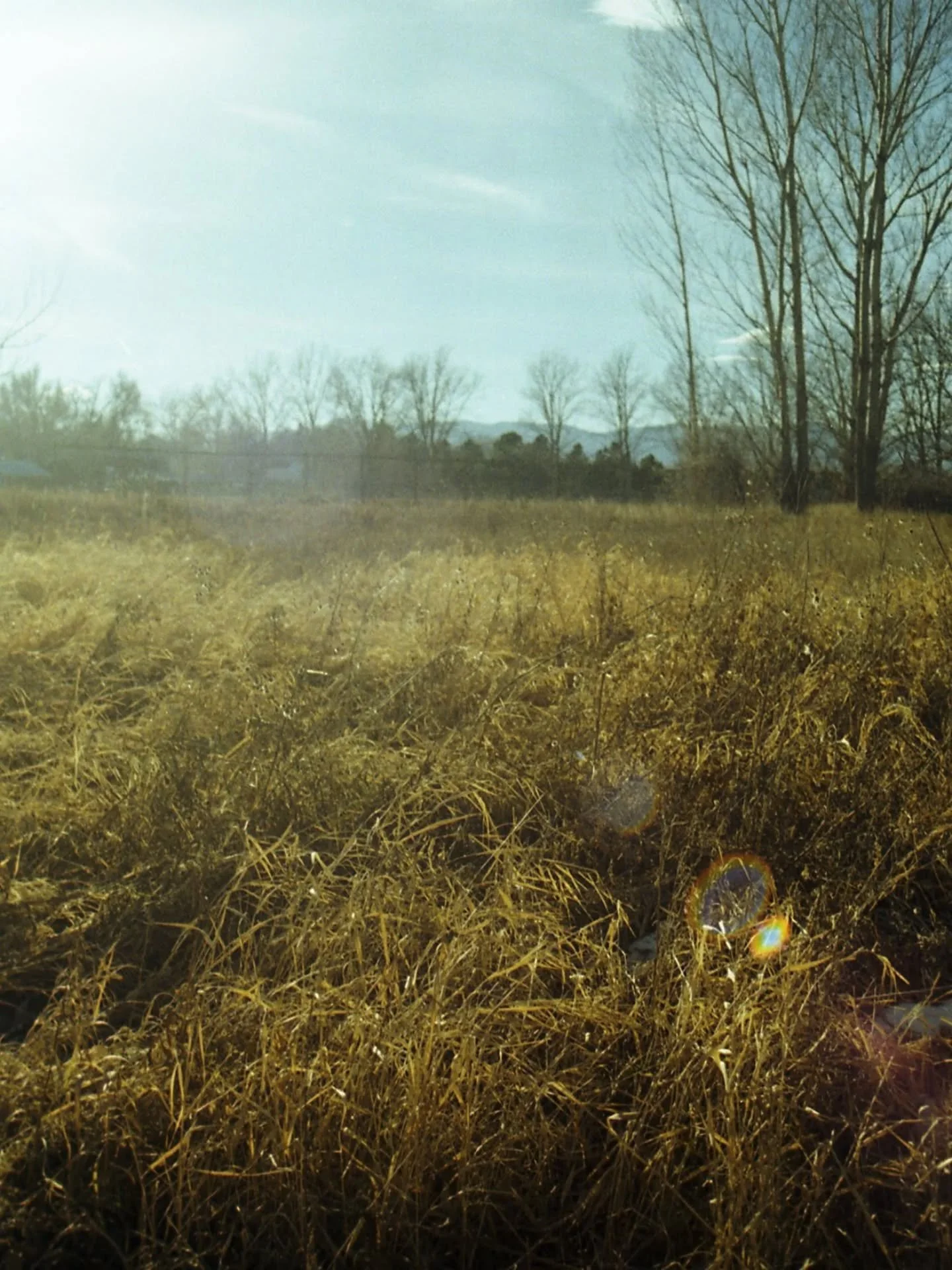 Spring is coming, and soon the dewdrops will be little glimmers of sunlight in the morning hours