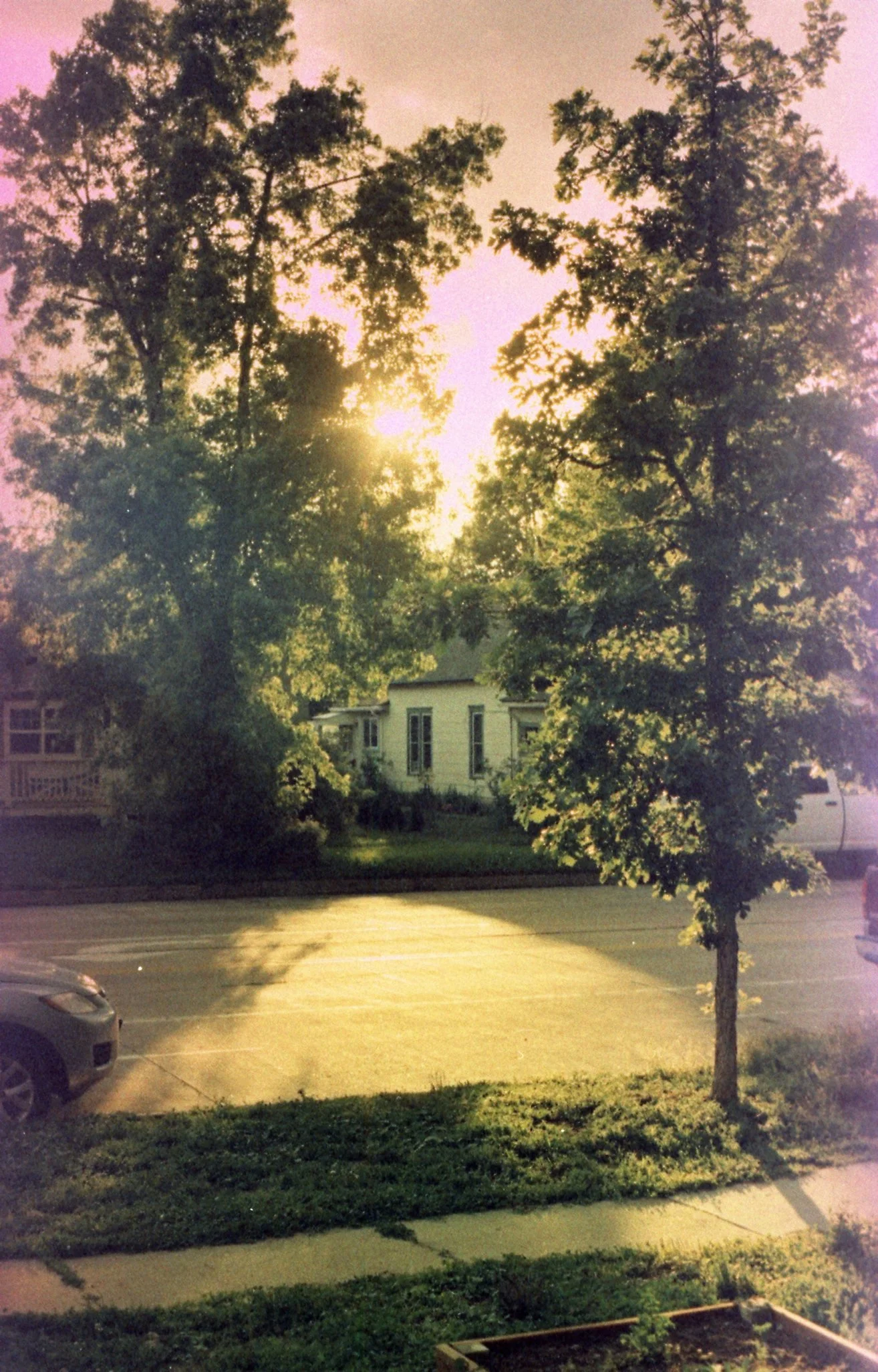 Fuji Sensia - Produced in 2008 - Shot in 2021