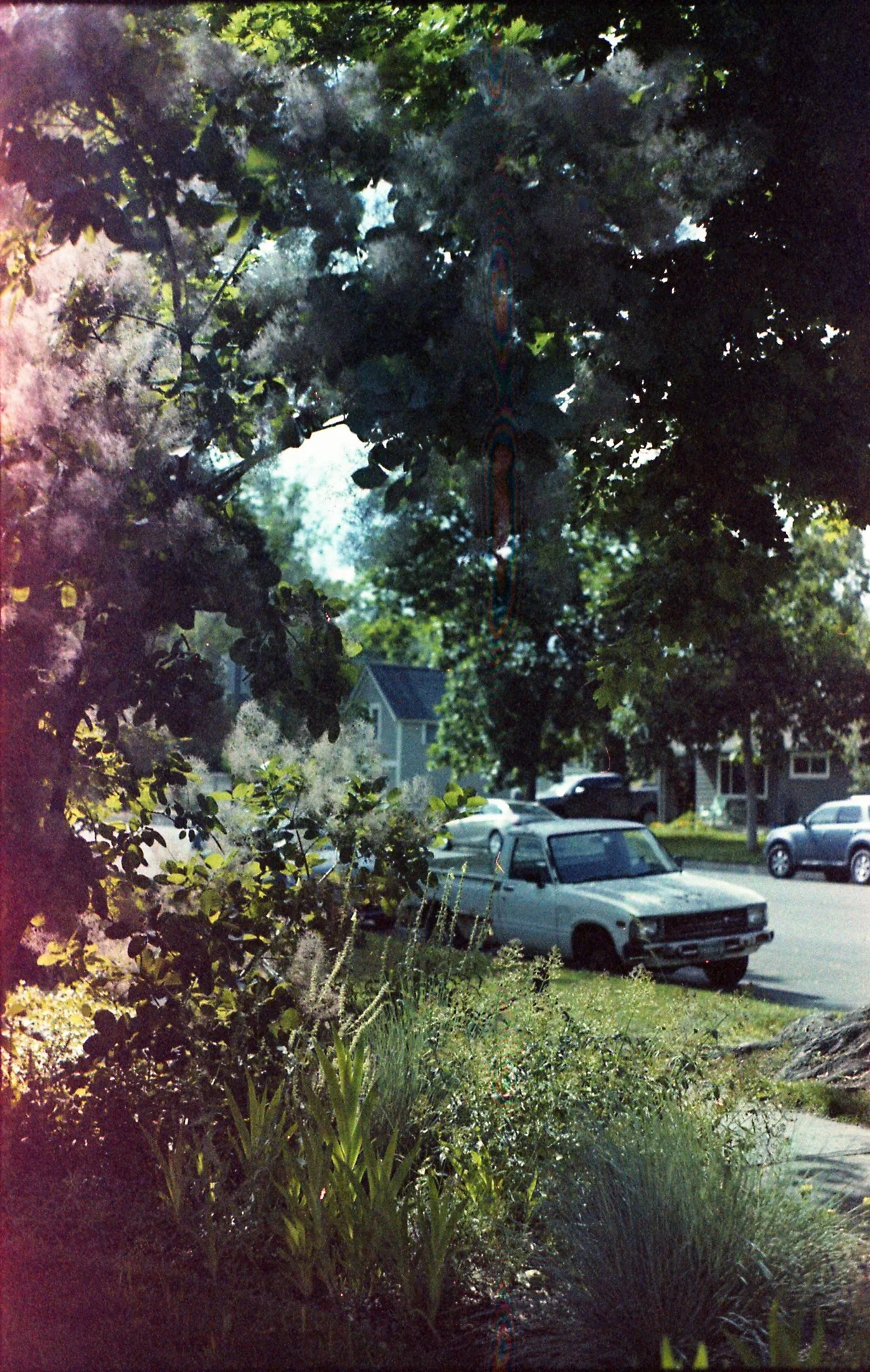 Expired Kodak Gold 200 - Produced around 2008 - Shot in 2021