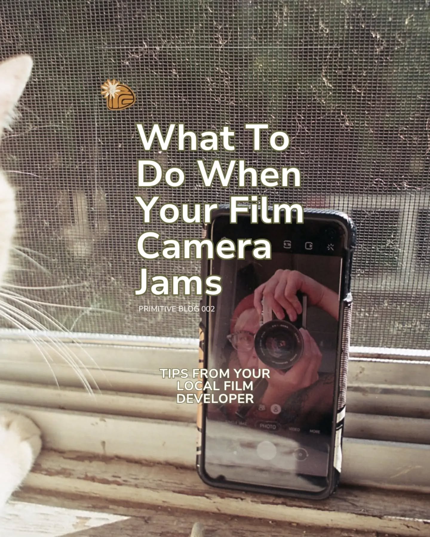 The second blog in our series - What To Do When Your Film Camera Jams! 🎞️ 
I get this question often, and if you're new to shooting, it might feel intimidating to troubleshoot this issue.

For the full post, check the link in my bio where you'll fin