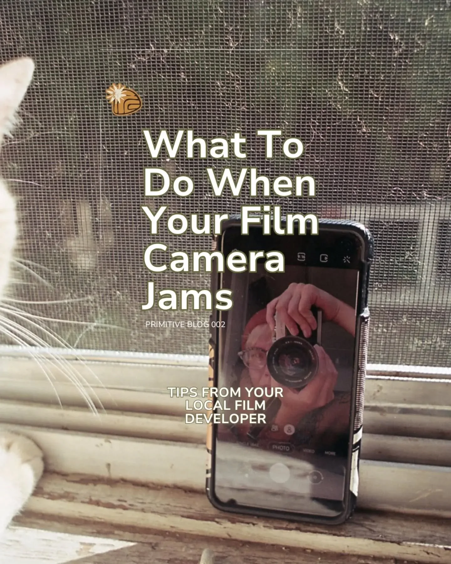 The second blog in our series - What To Do When Your Film Camera Jams! 🎞️ 
I get this question often, and if you're new to shooting, it might feel intimidating to troubleshoot this issue. If you've got your own tips, drop 'em below!

For the full po