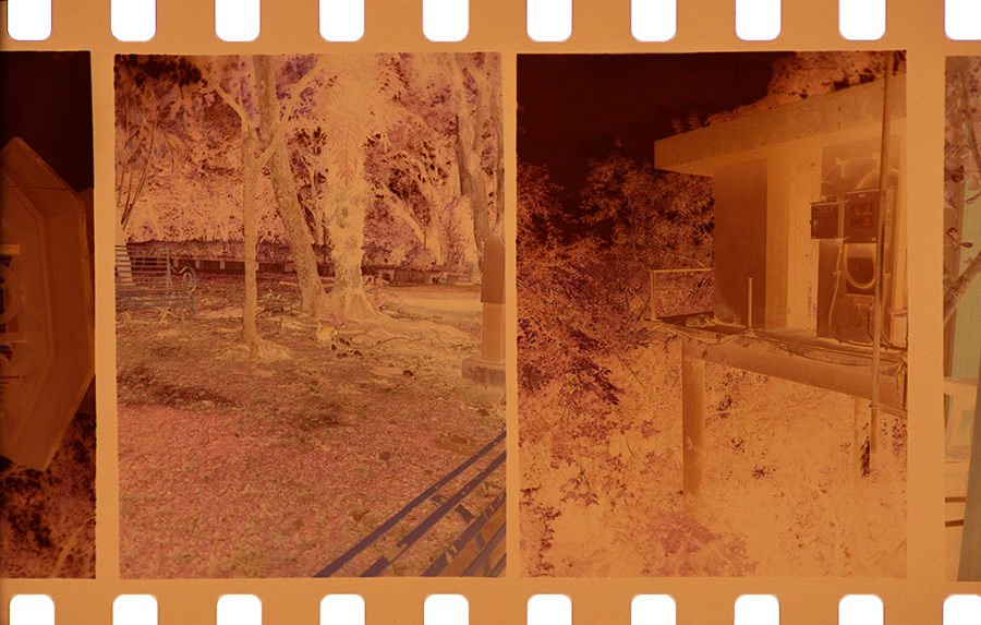 Please Select If You Are Shooting Half Frame