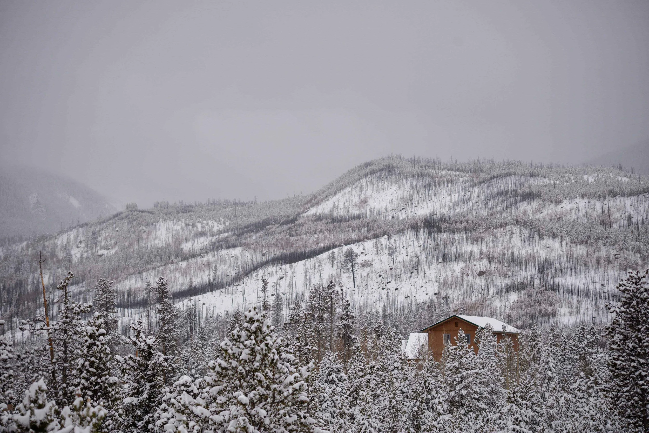 Colorado State University Mountain Campus, Pingree Park, CO