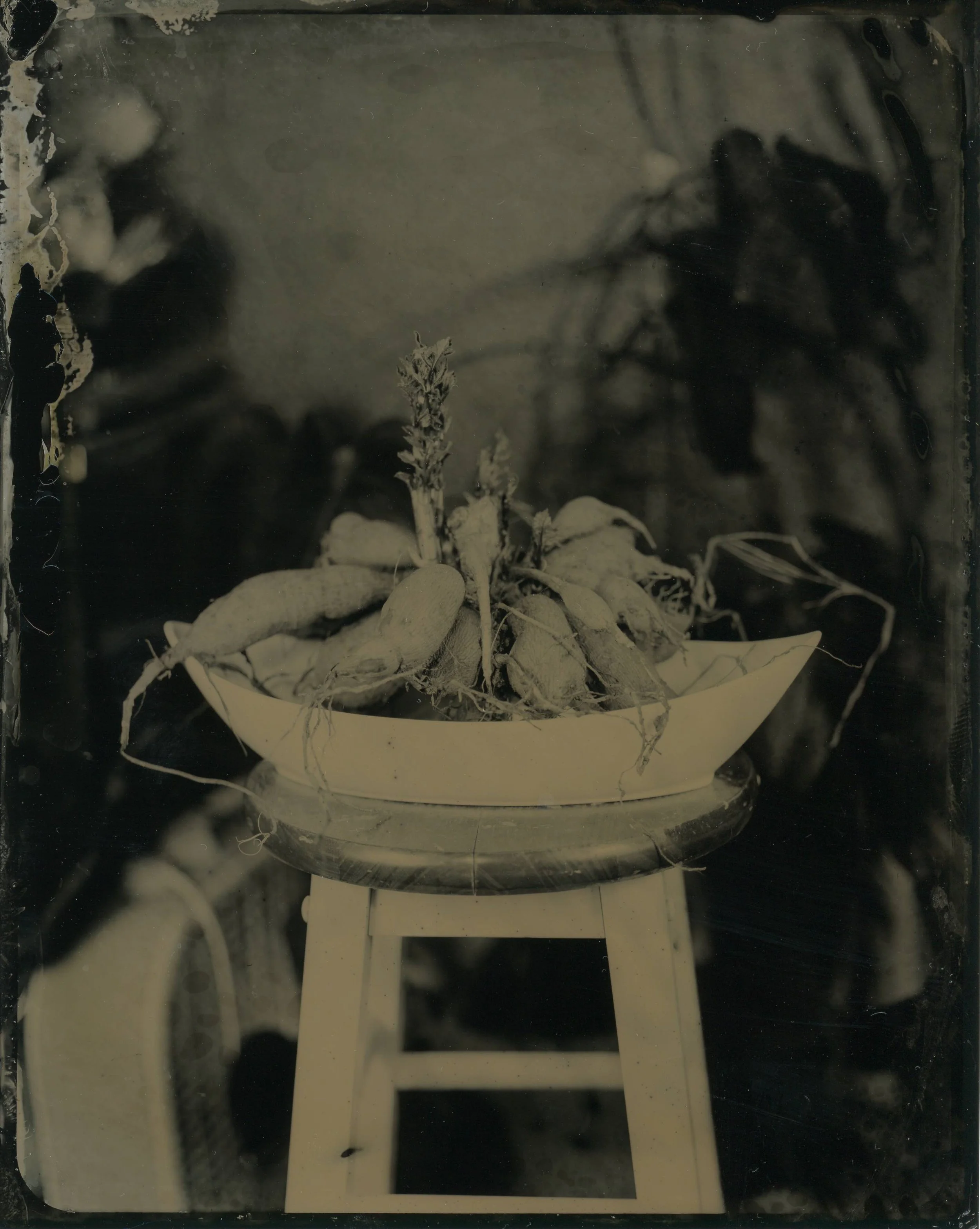 Still Life001_final.JPG
