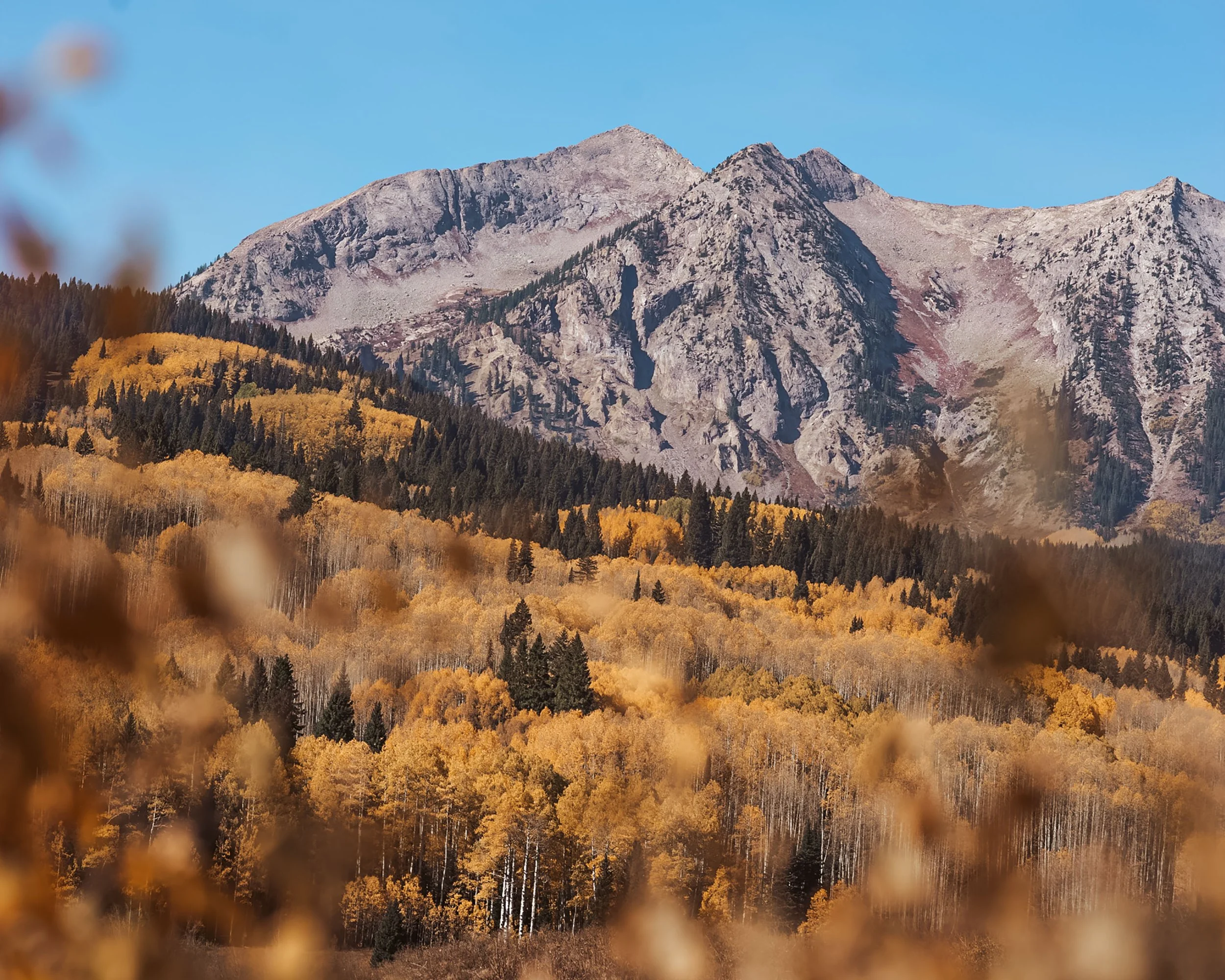 Kebler Pass near Crested Butte, CO