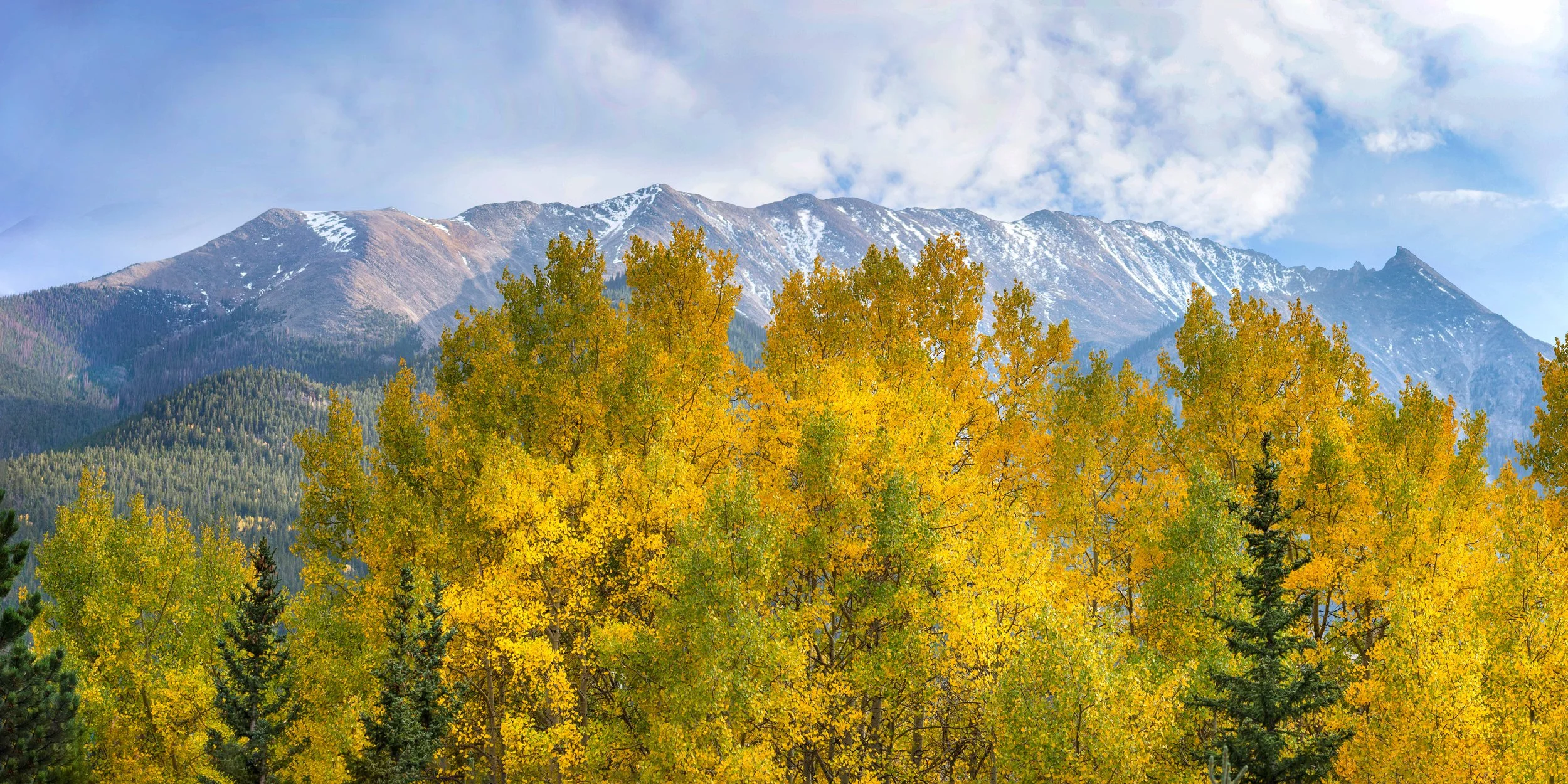 Kebler Pass near Crested Butte, CO