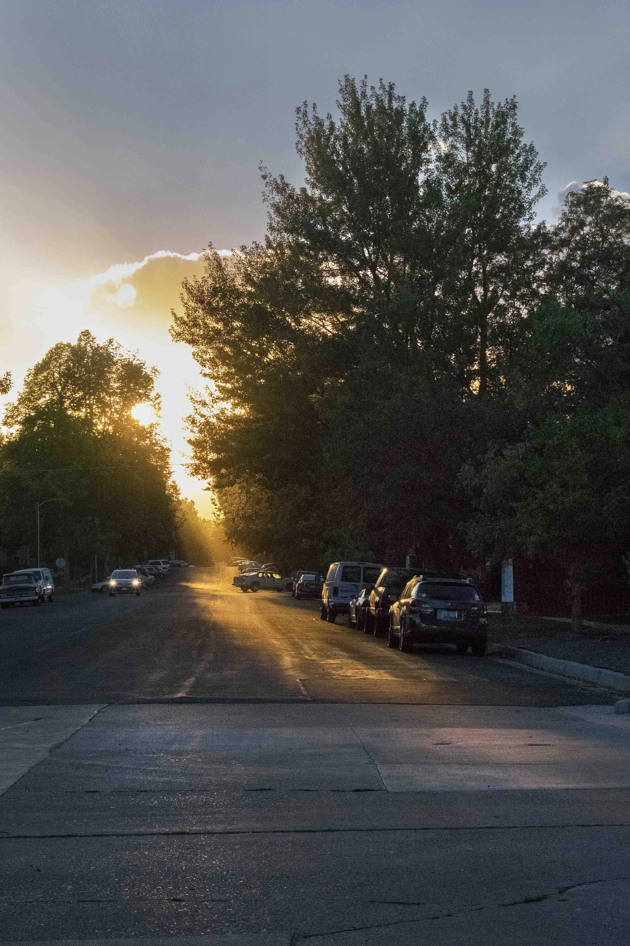 Magnolia Street