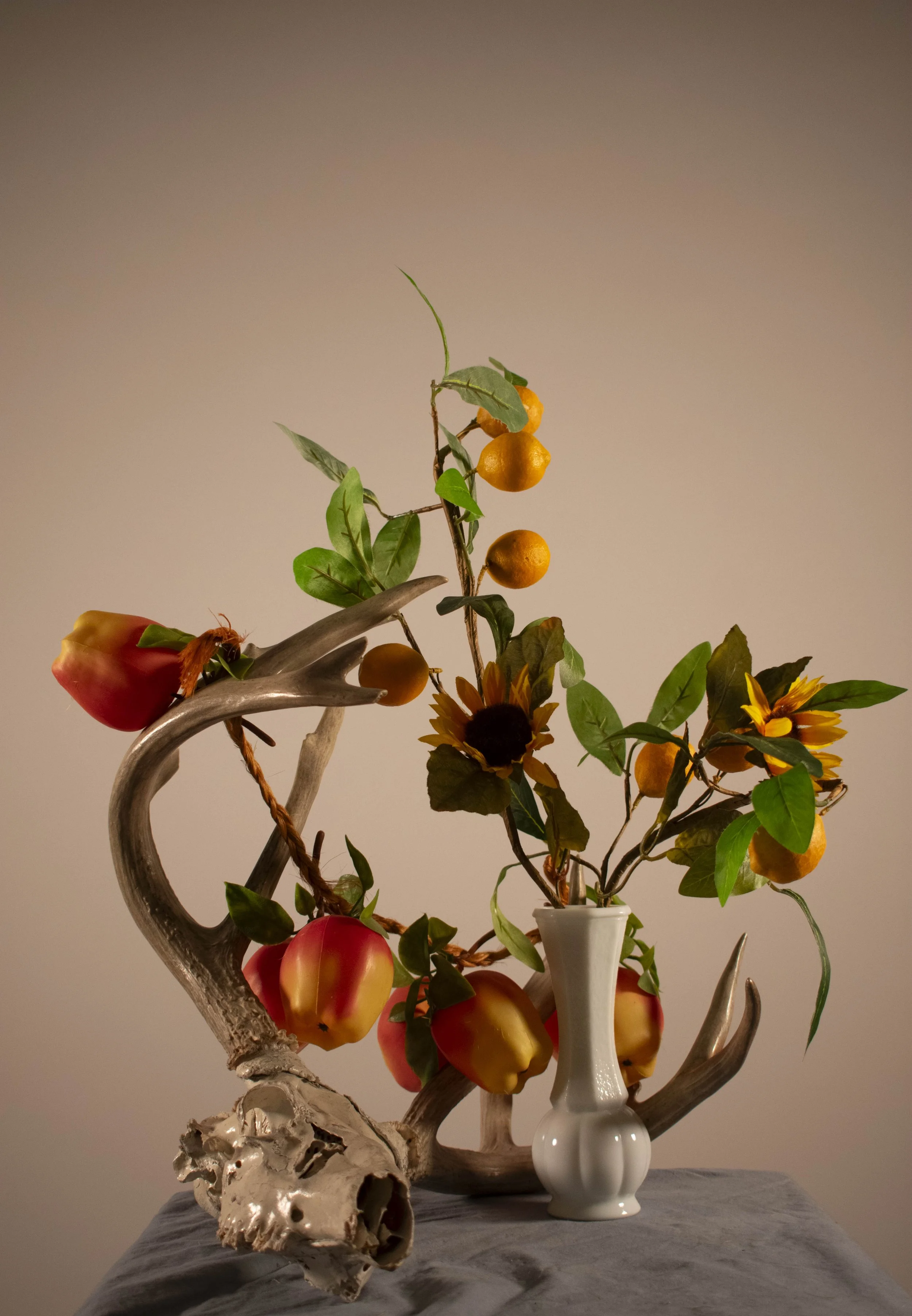 Title: Golden Season
Date Created: 2025
Medium: Pigment Print
Size: 8 x 10 Inches