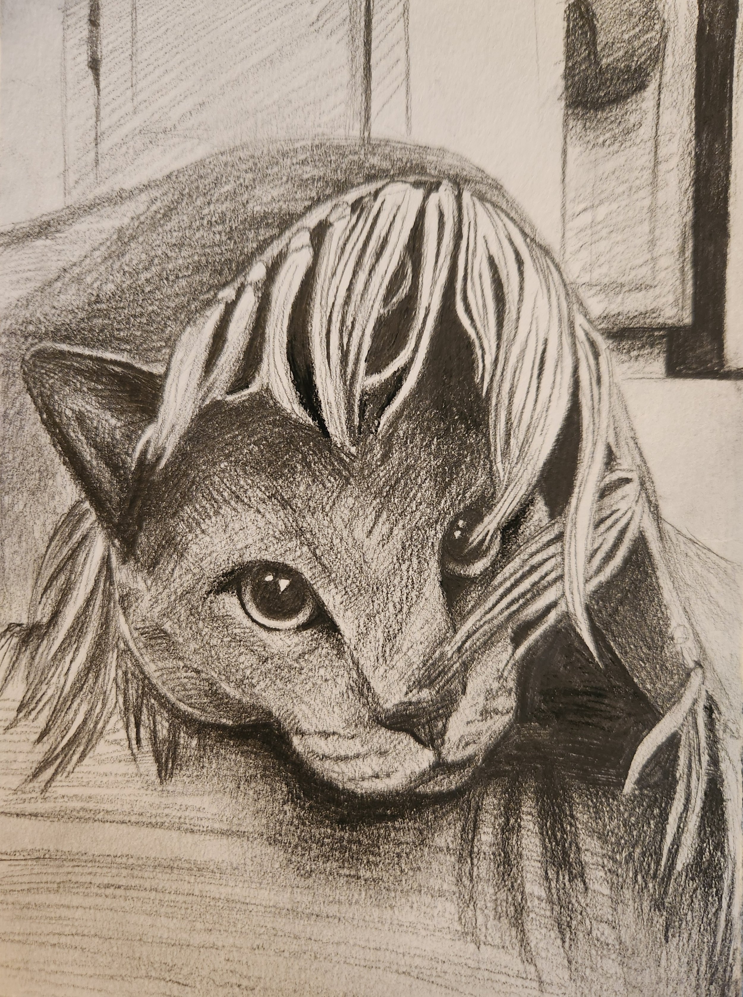 Mr. Biscuits,
2025,
Graphite,
4” x 6” inch
