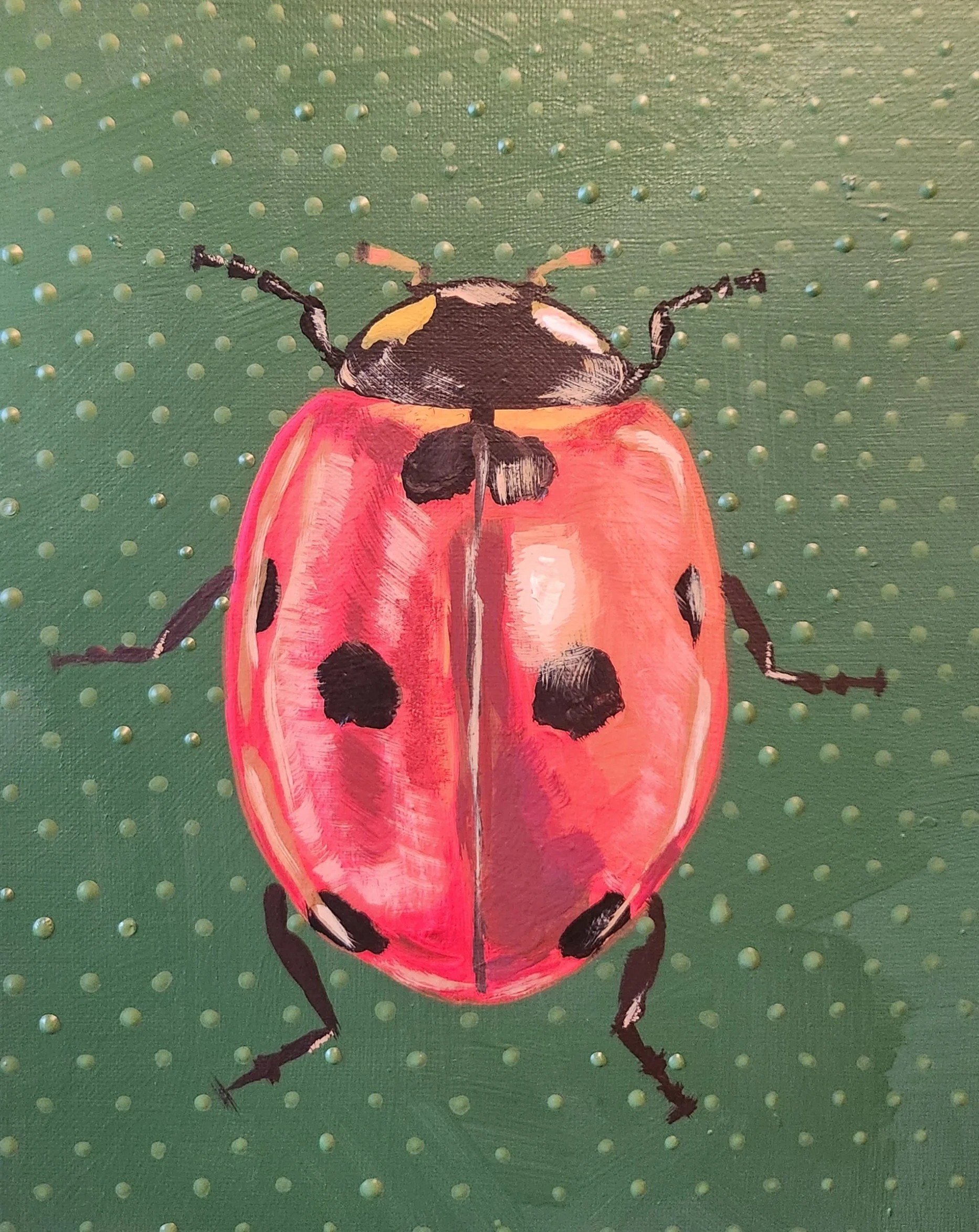 Lady bug, 2024,
Acrylic on canvas, 9" x 12" inch
