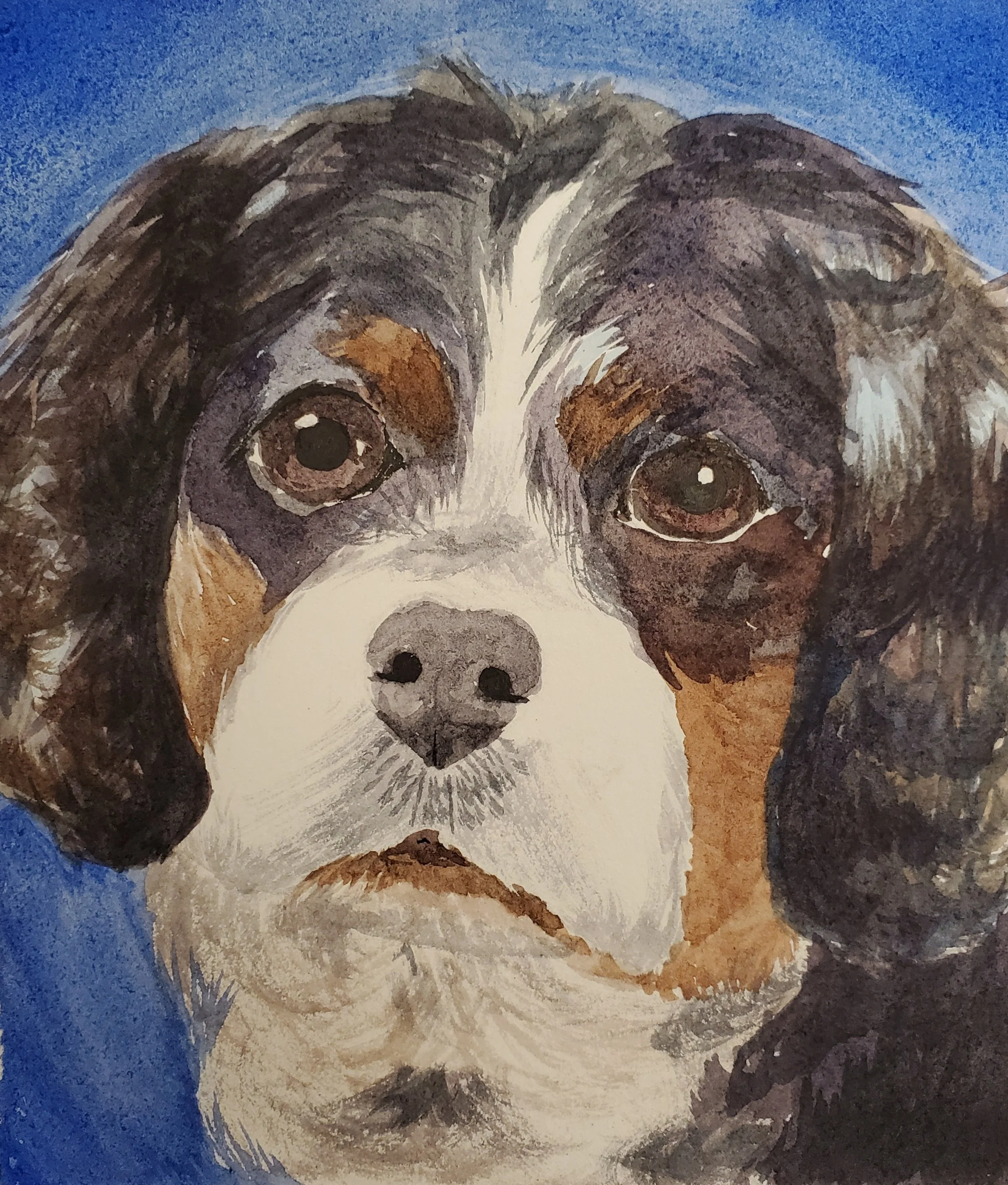 Kulo, 2019, Watercolor on paper, 6" x 6" inch