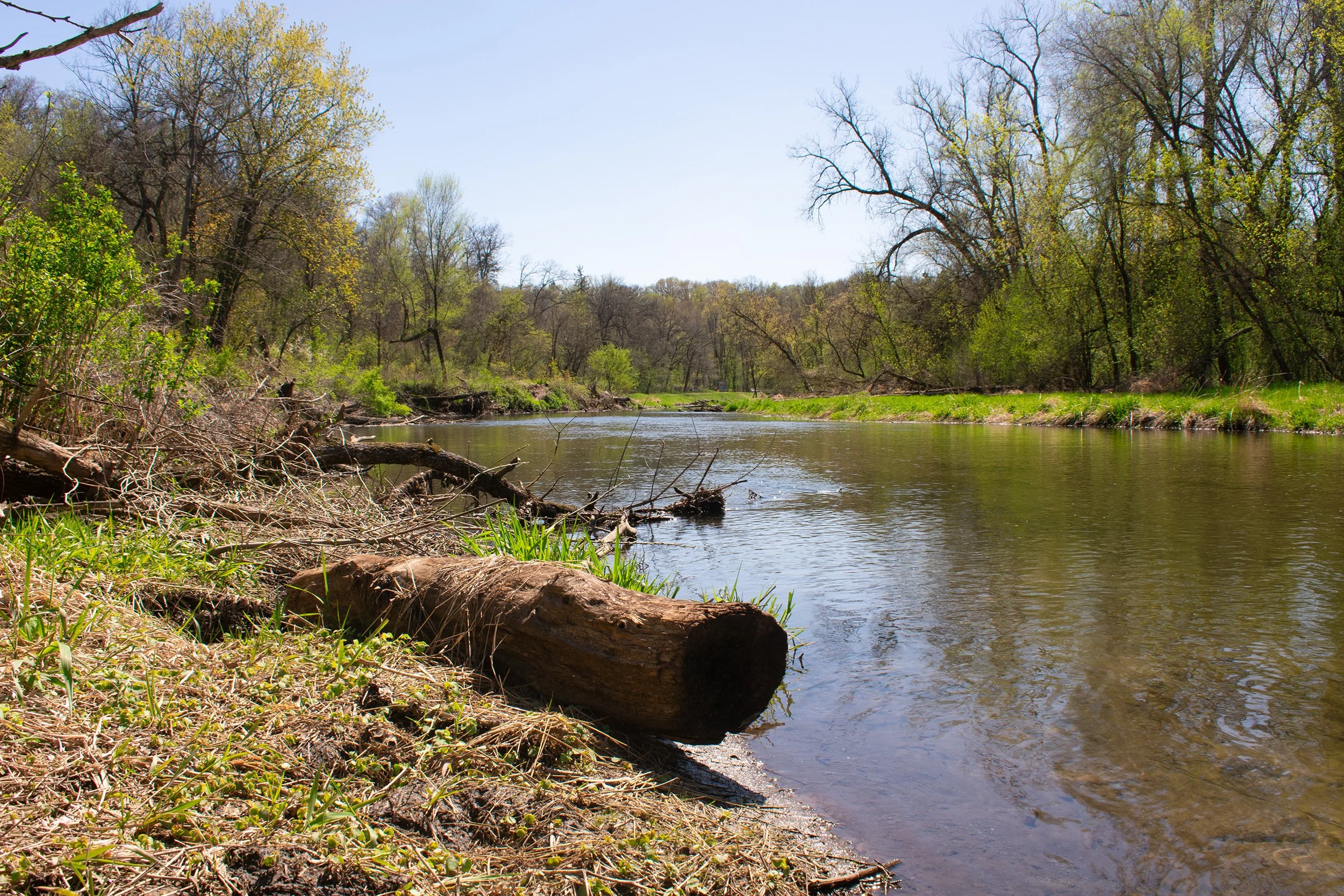Title: Whispering Creek
Date Created: 2026
Medium: Pigment Print
Size: 8 x 10 Inches