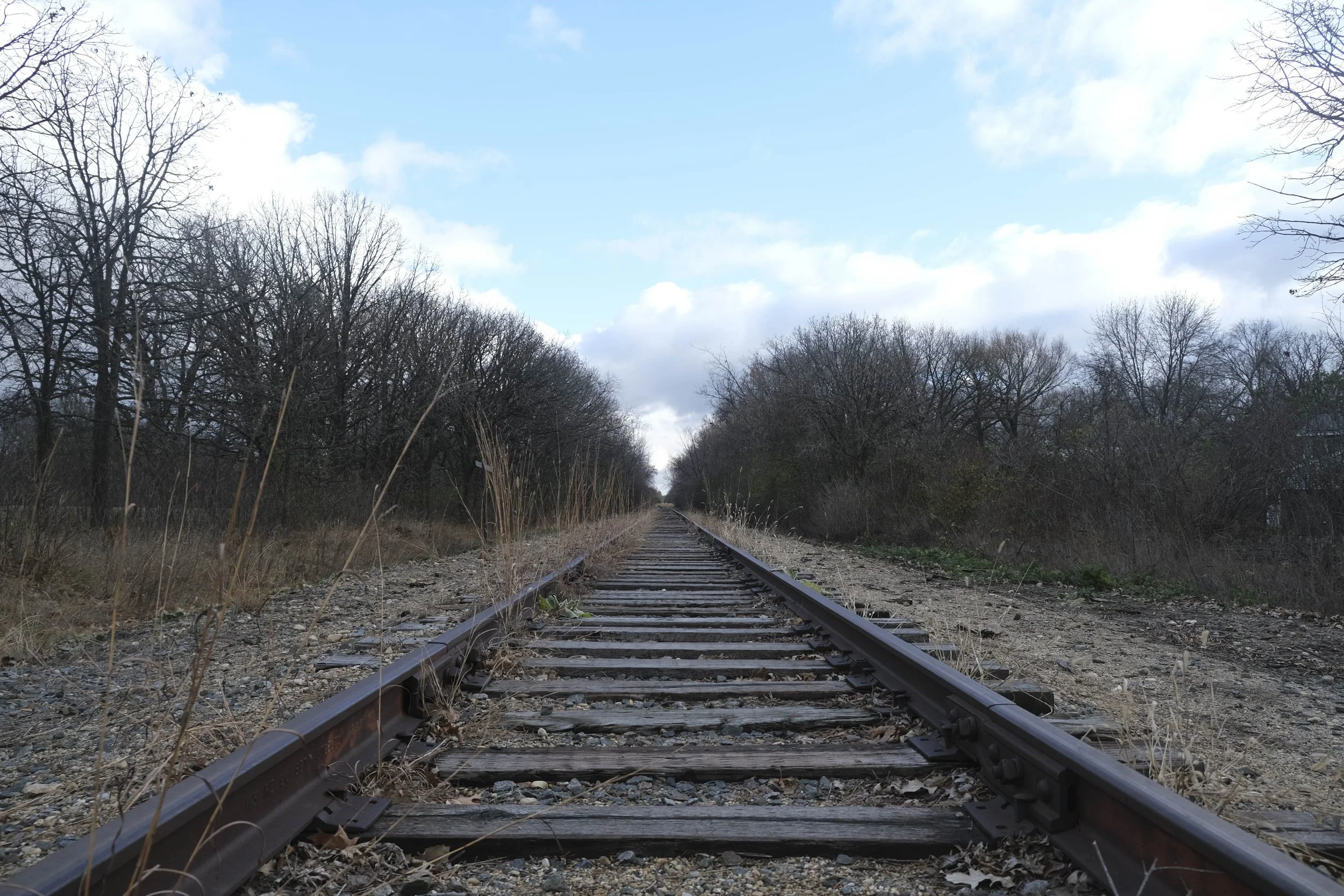 Title: Tracks to The Horizon
Date Created: 2025
Medium: Pigment Print
Size: 8 x 10 Inches