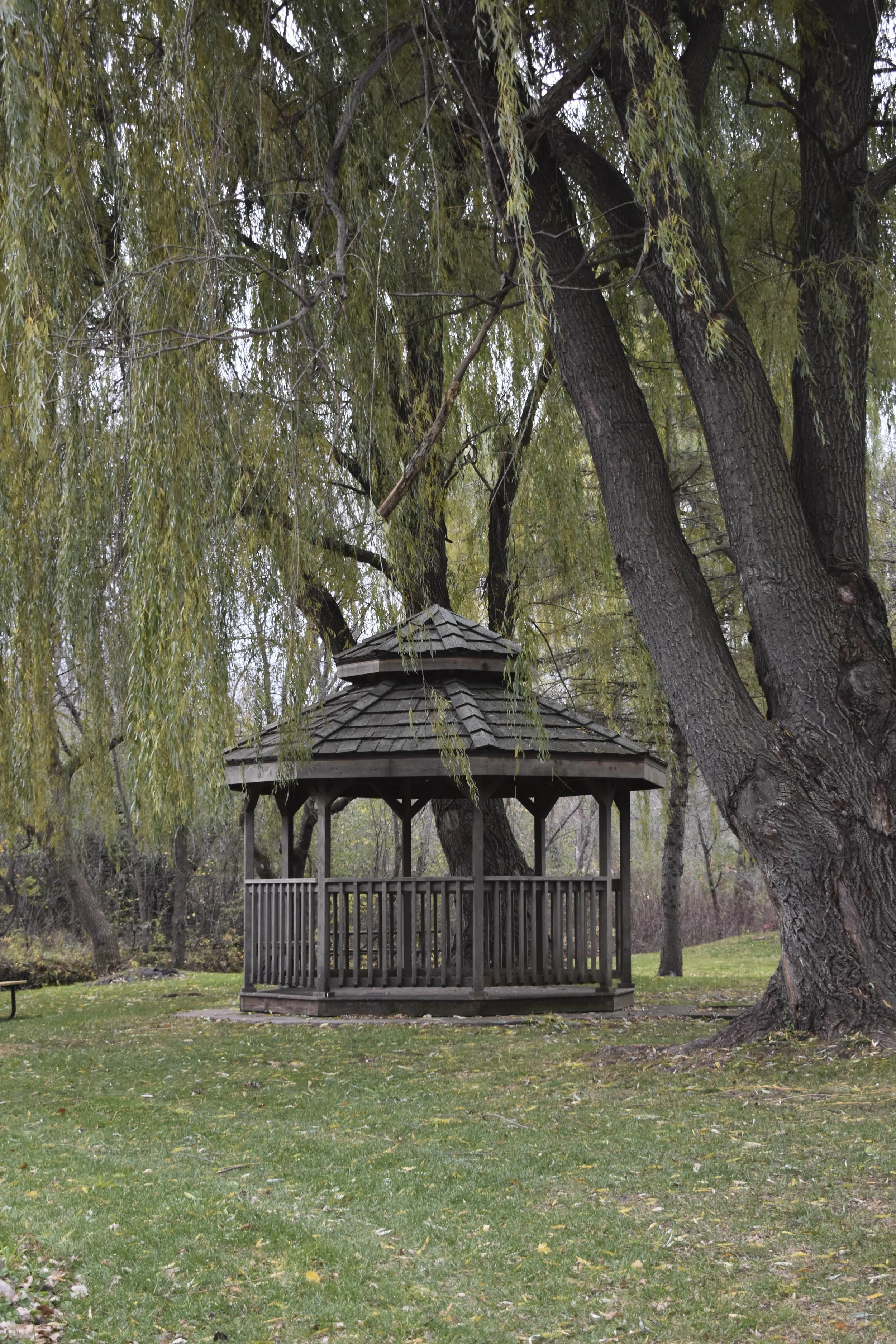 Title: Hidden Haven
Date Created: 2025
Medium: Pigment Print
Size: 8 x 10 Inches
