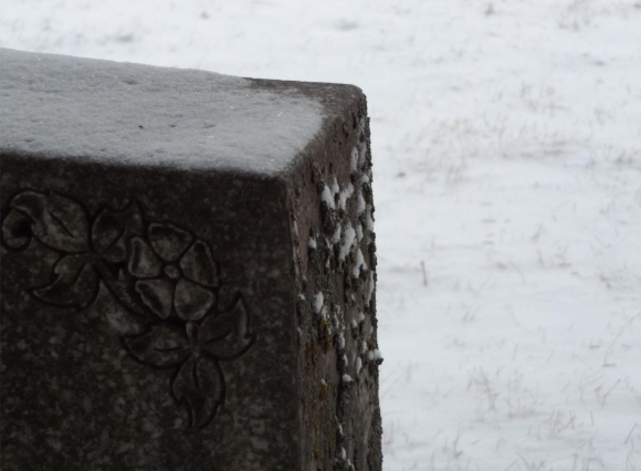 Opera Snapshot_2025-05-14_104353_docs.google.com.png