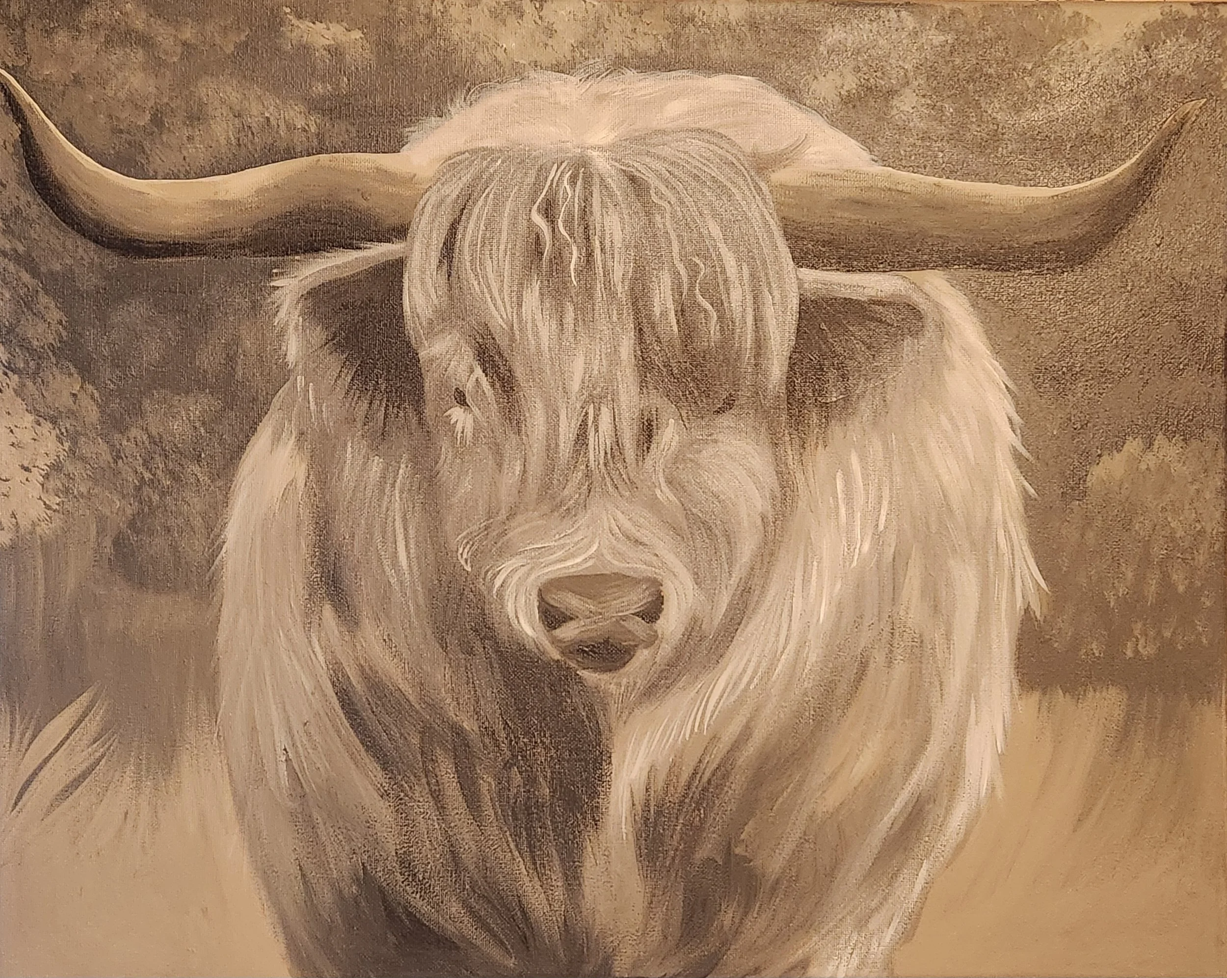 Highland Cow,
2024,
Acrylic on canvas,
16” x 20” inch

