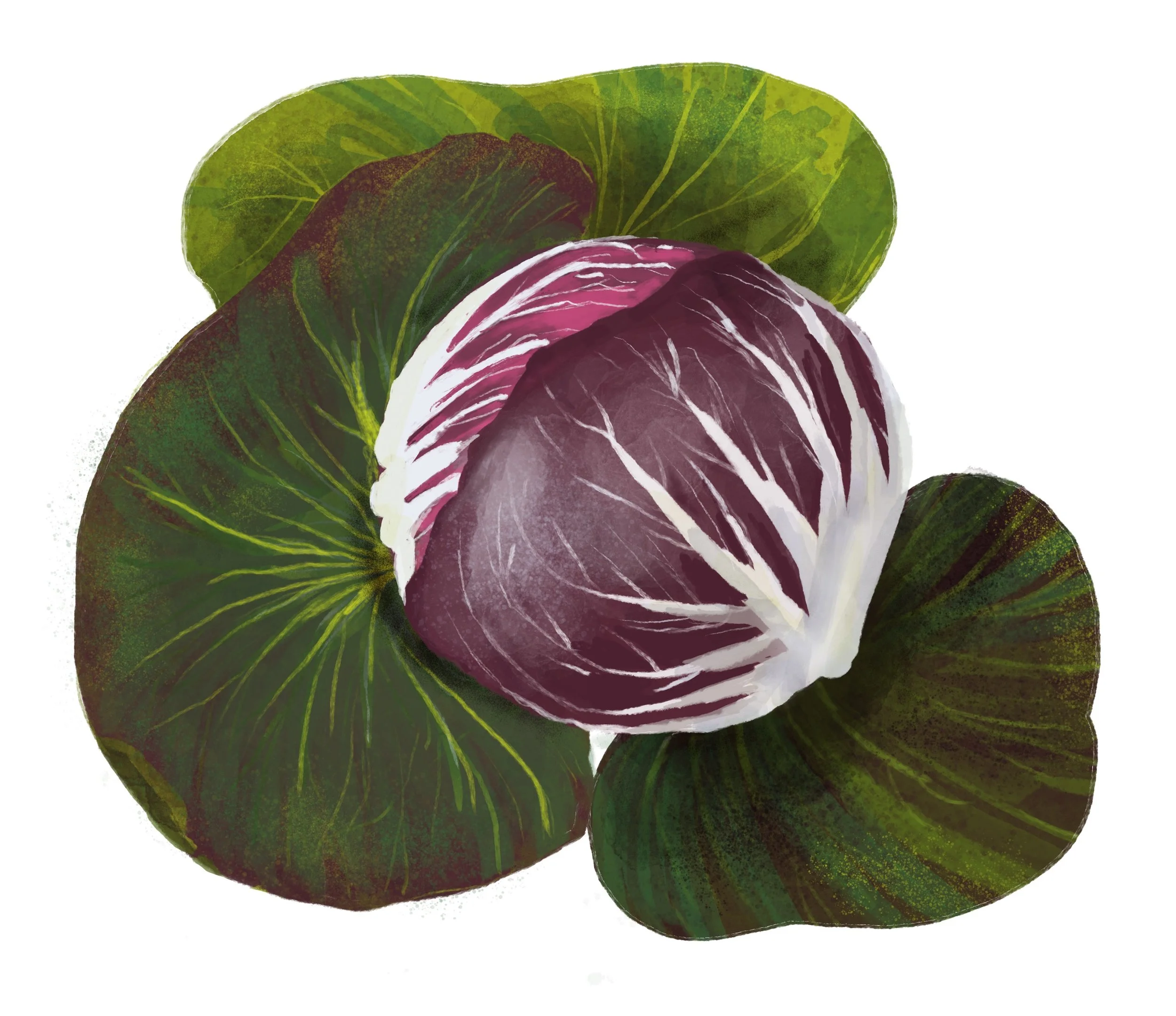Chioggia.jpeg