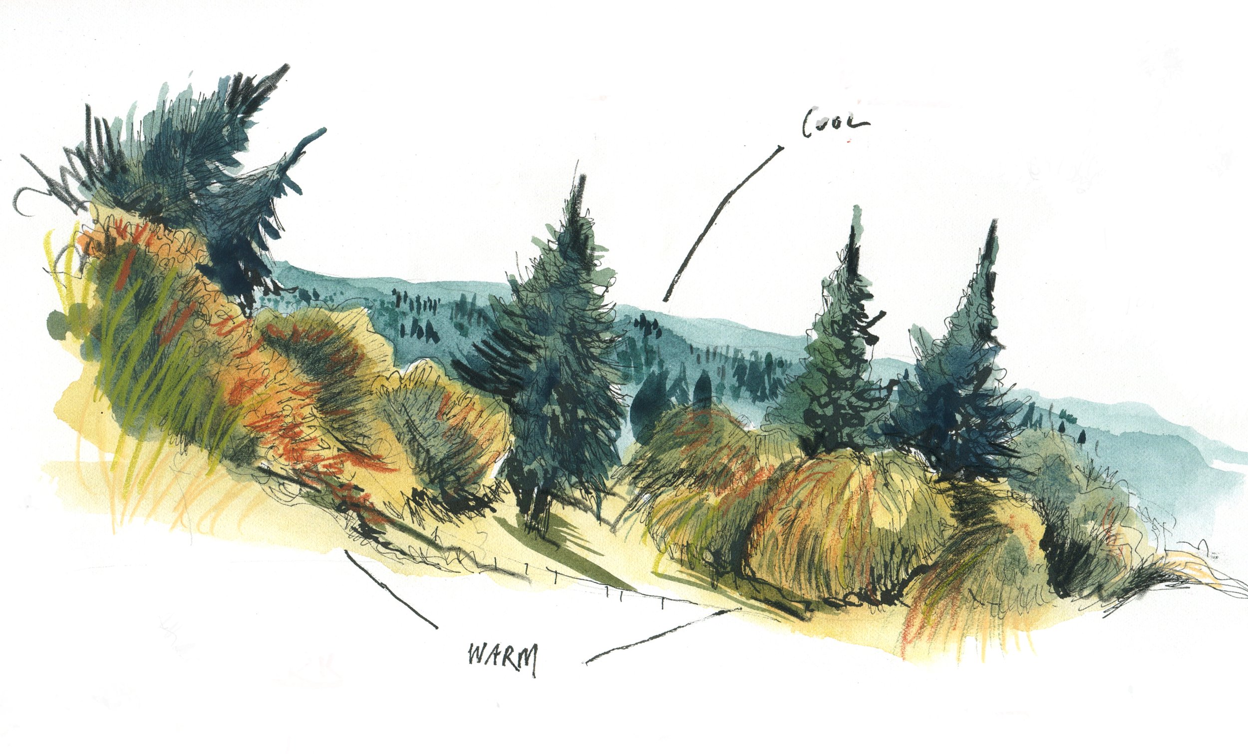 PNW forest copy.jpg