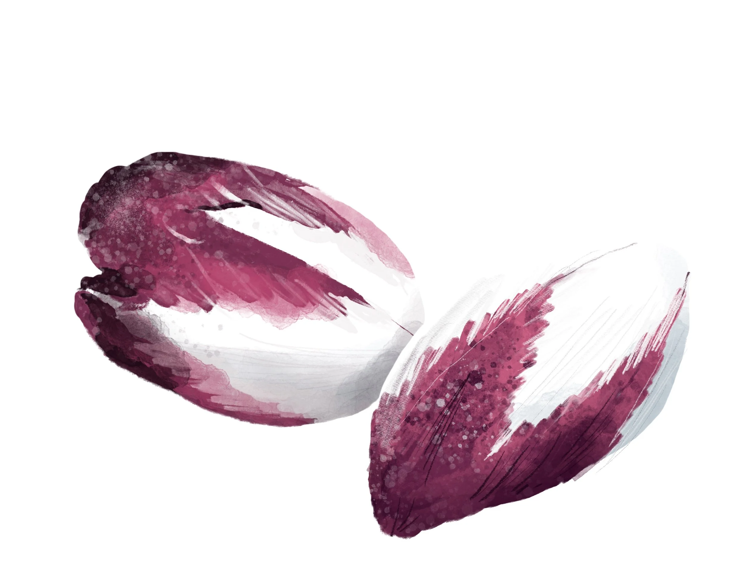 Endive_Escarole_Frisée.jpeg