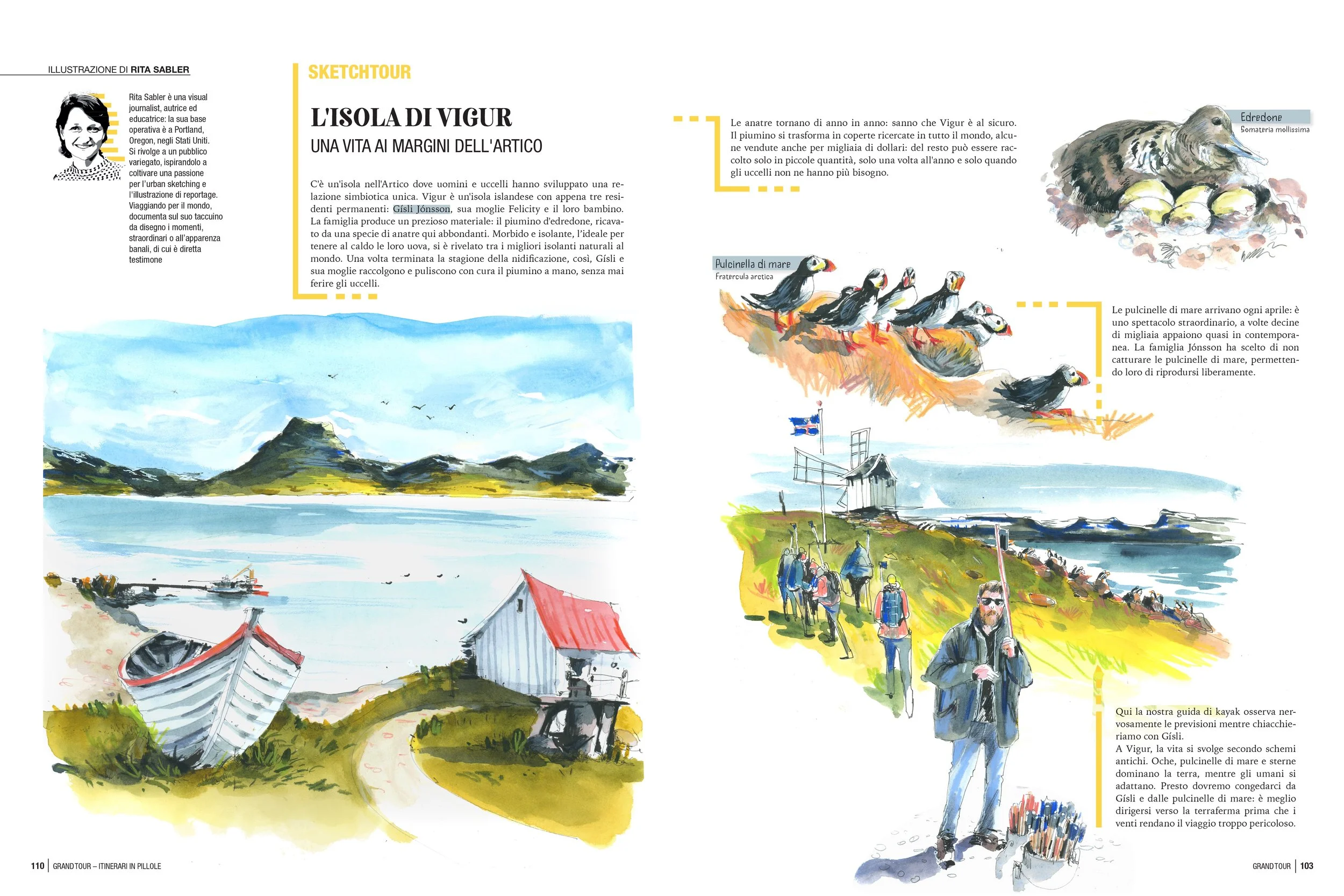 Vigur: Life at the Edge of the Arctic