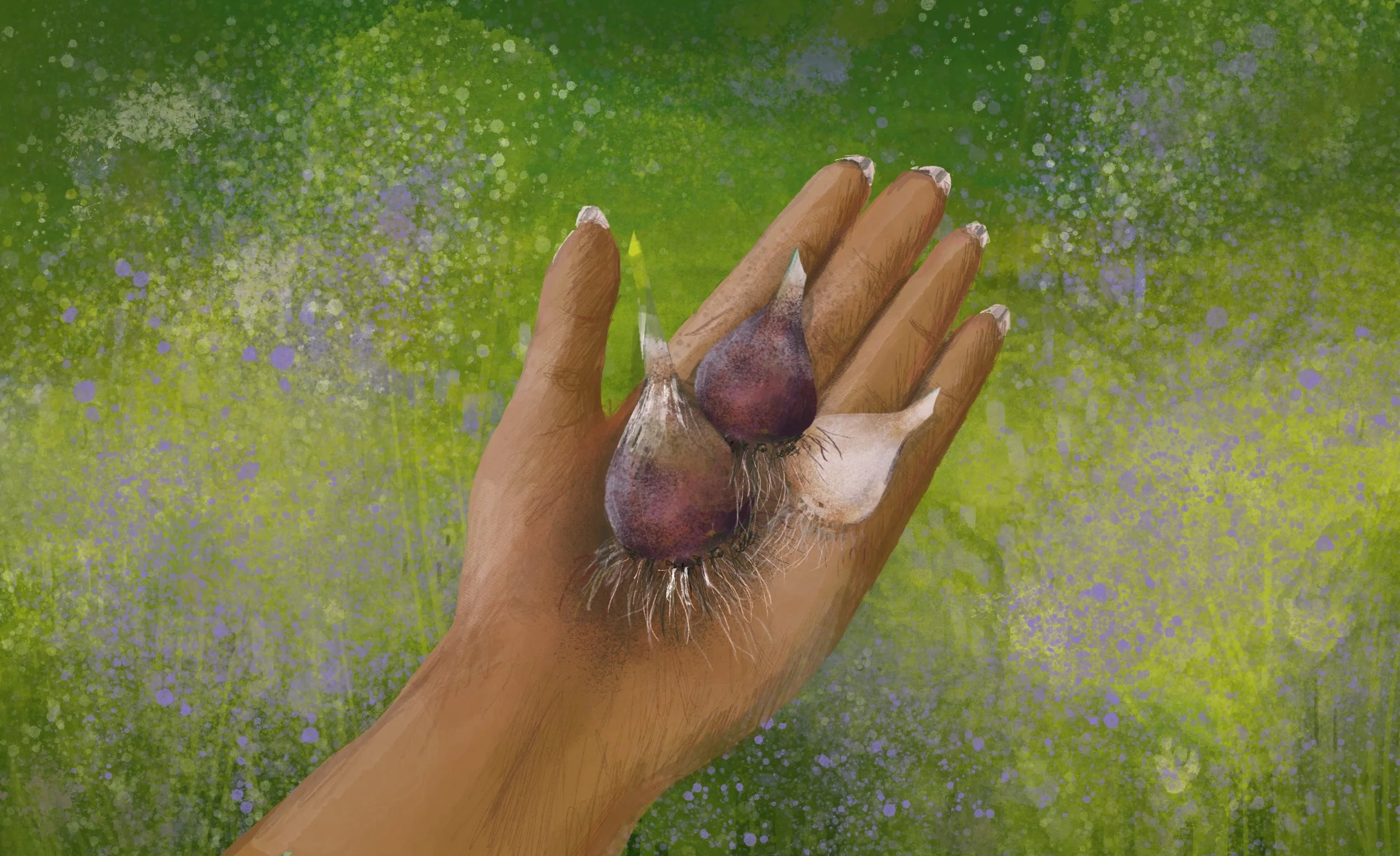 Camas_Bulbs_On_Open_Palm.jpg