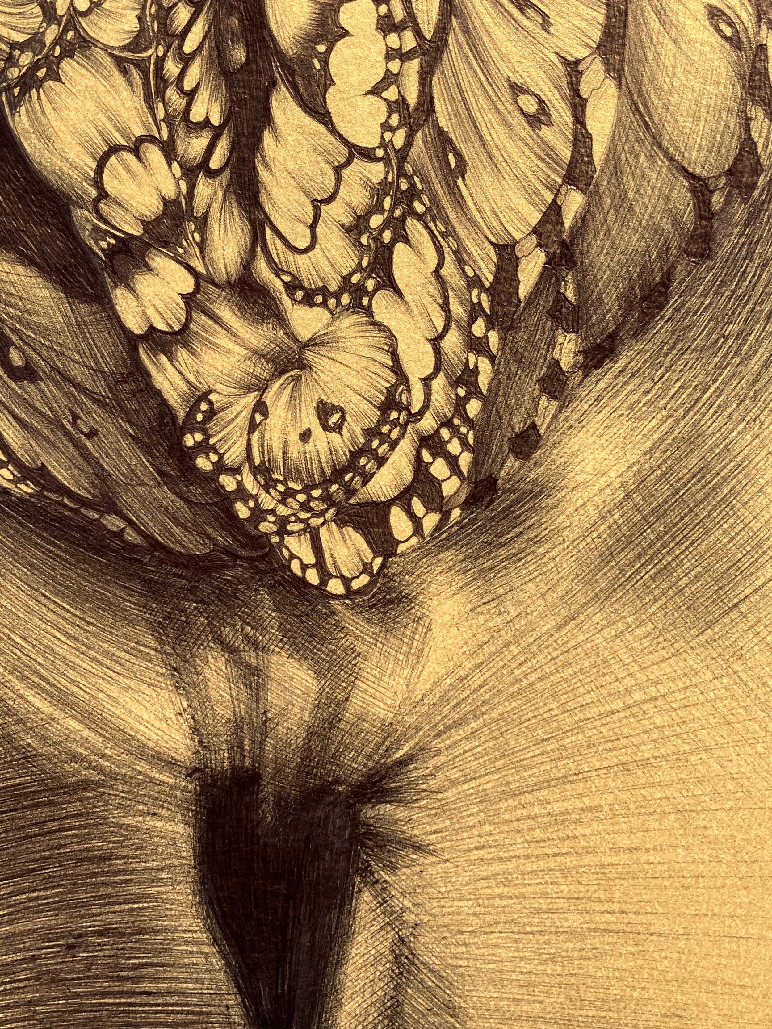detail, Papilionoidea Yoni Fig. 1