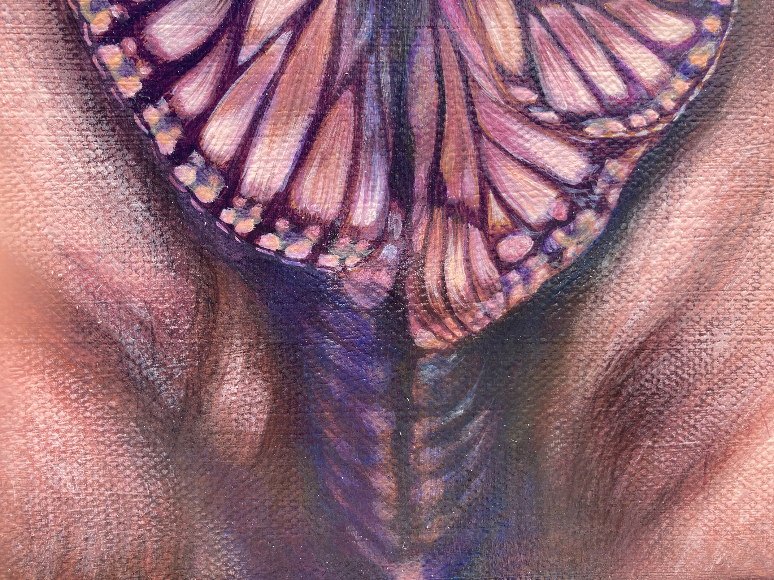 detail, Papilionoidea Yoni Fig. 4