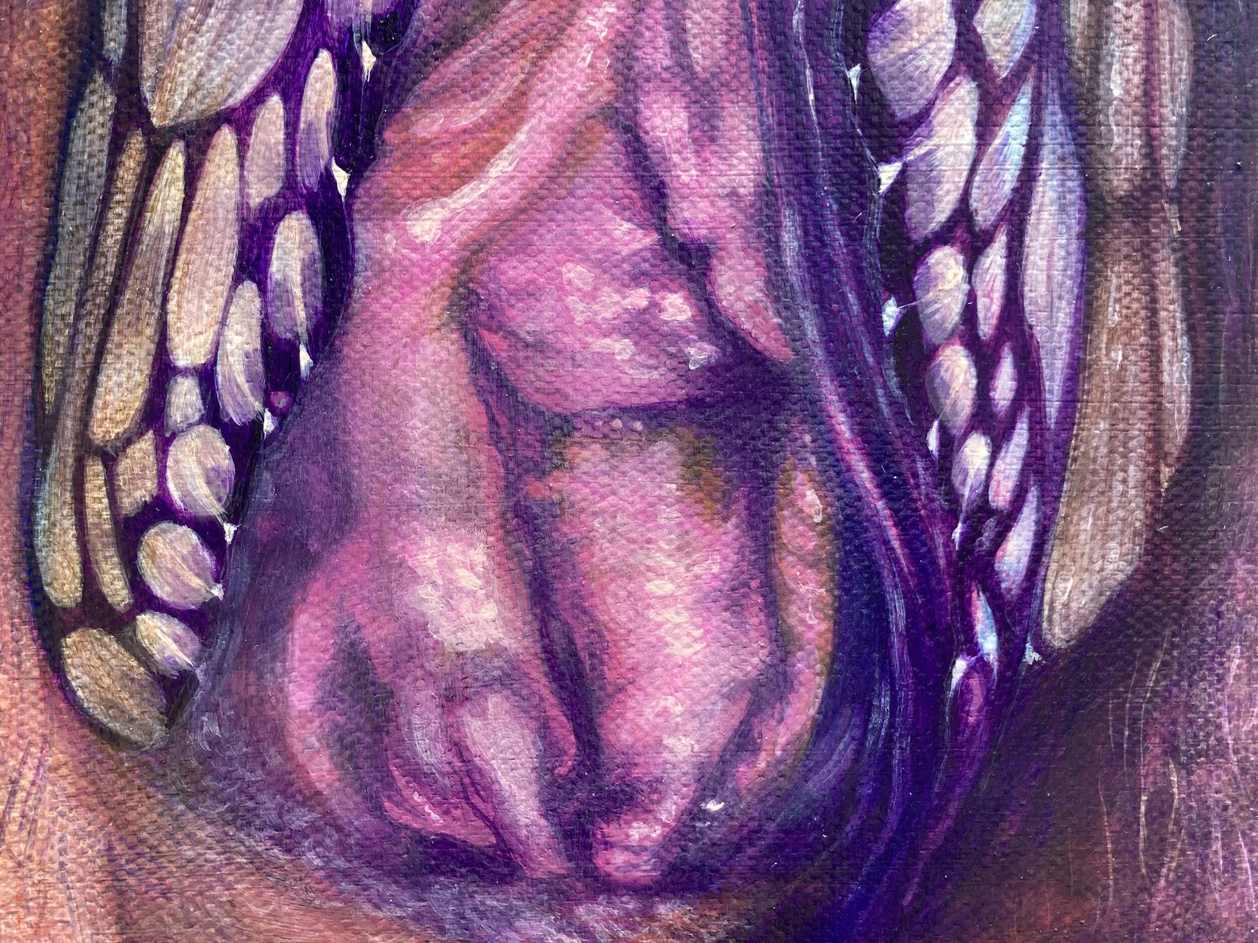 detail, Papilionoidea Yoni Fig. 5