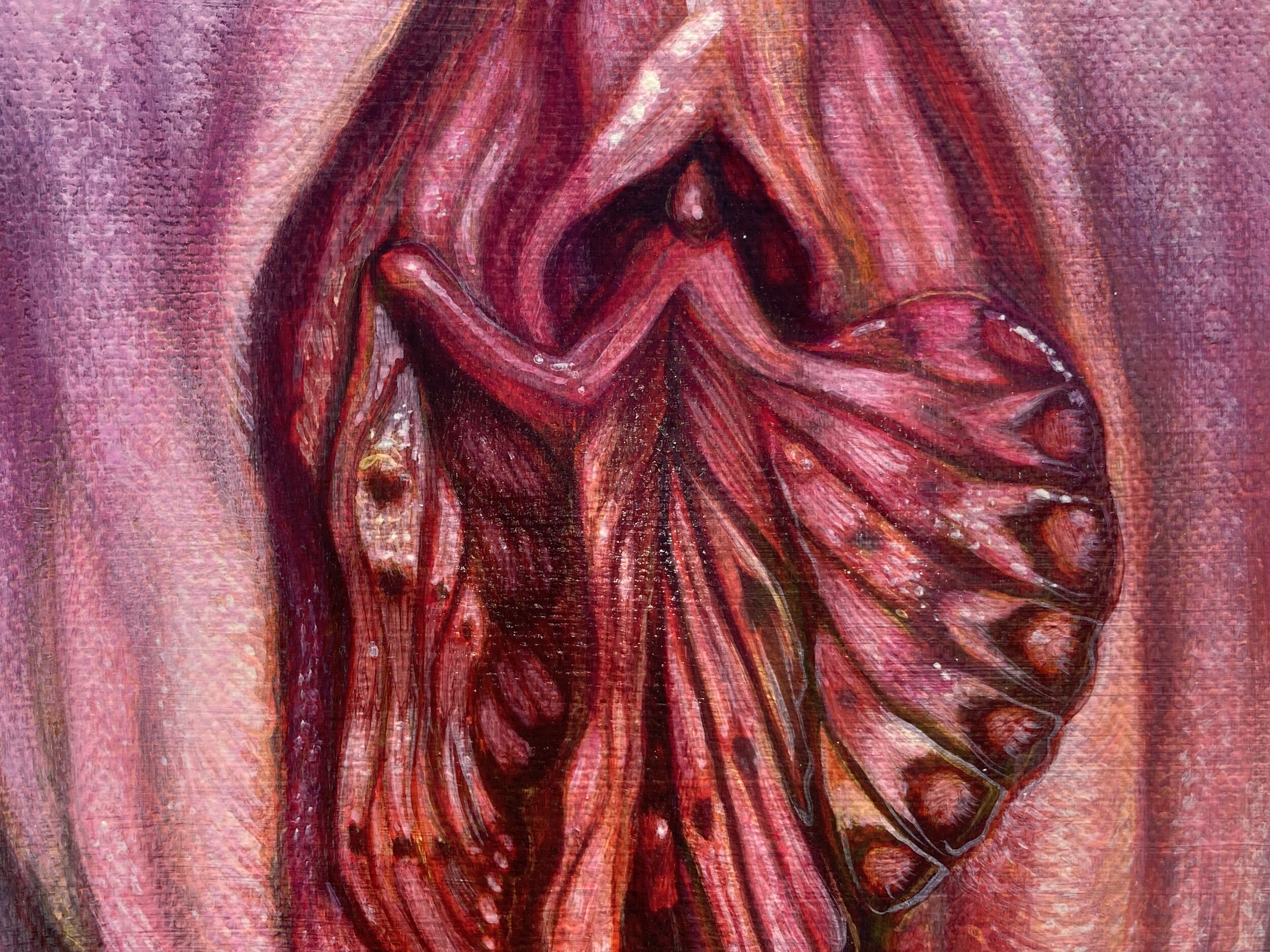 detail, Papilionoidea Yoni Fig. 6