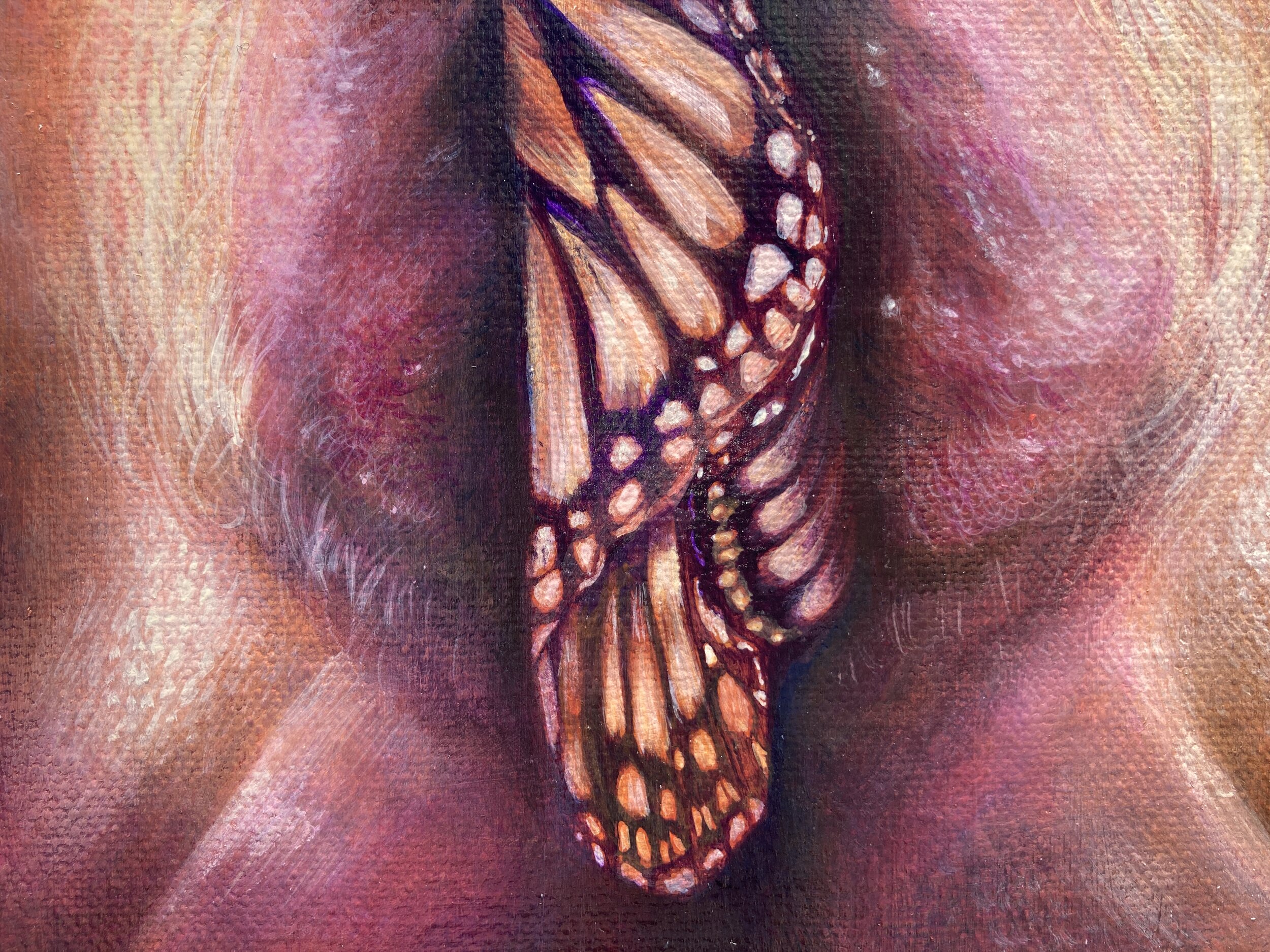 detail, Papilionoidea Yoni Fig. 7