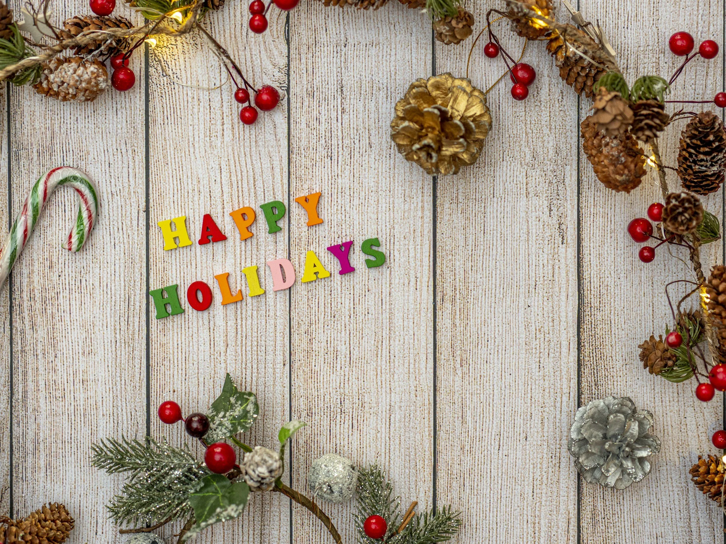 Your Holiday Survival Guide