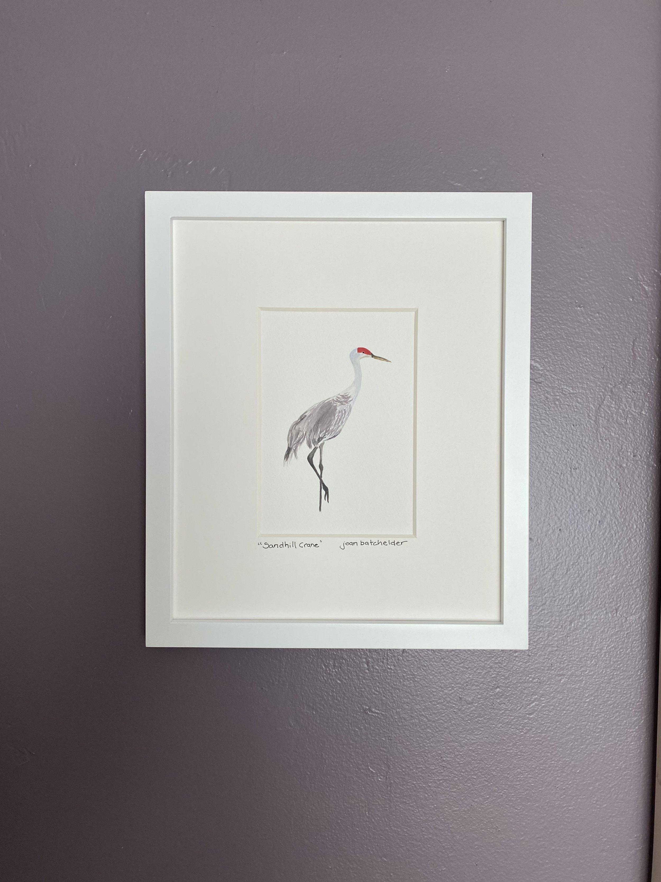 "Sandhill Crane"