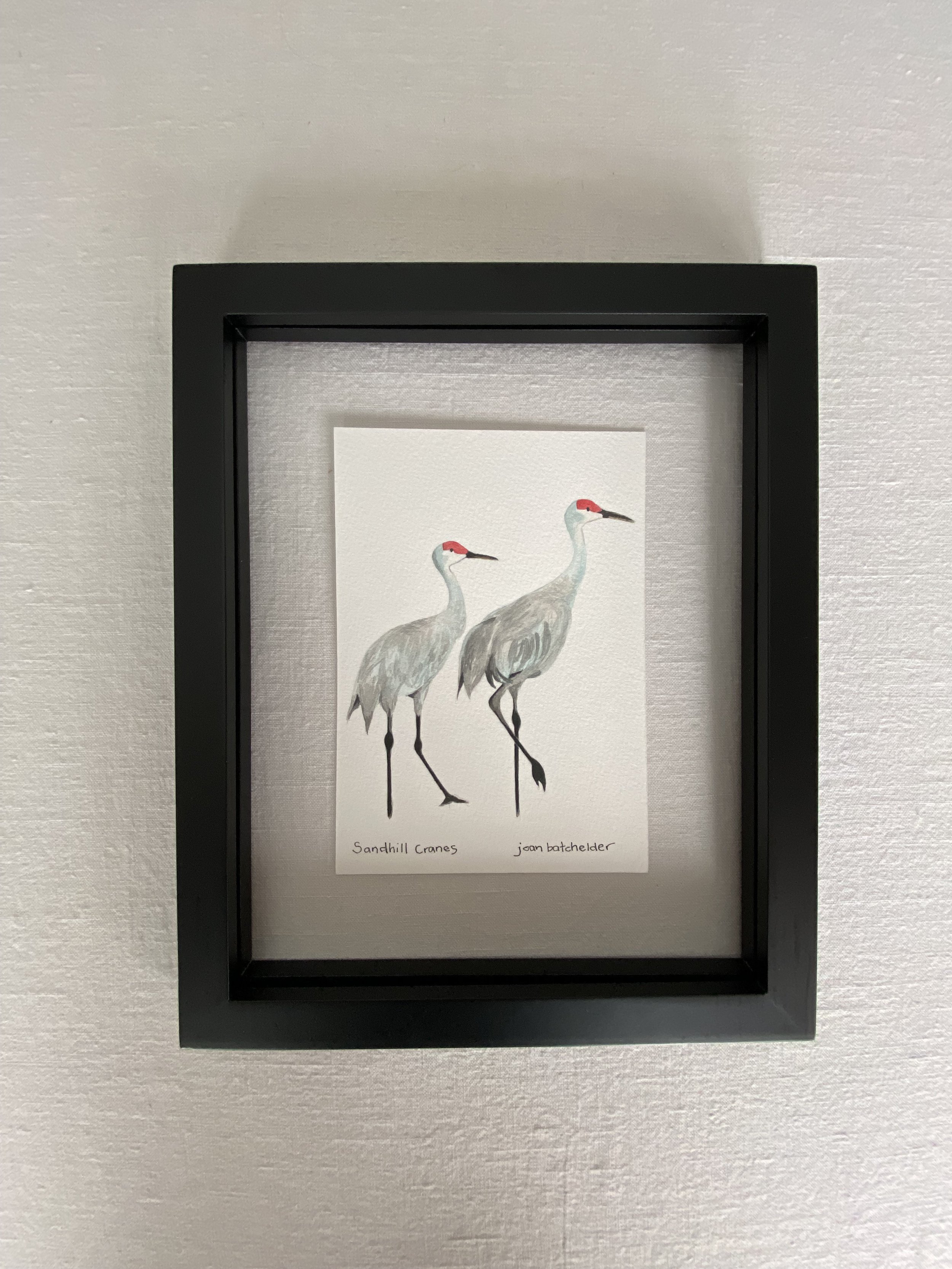 "Sandhill Cranes"