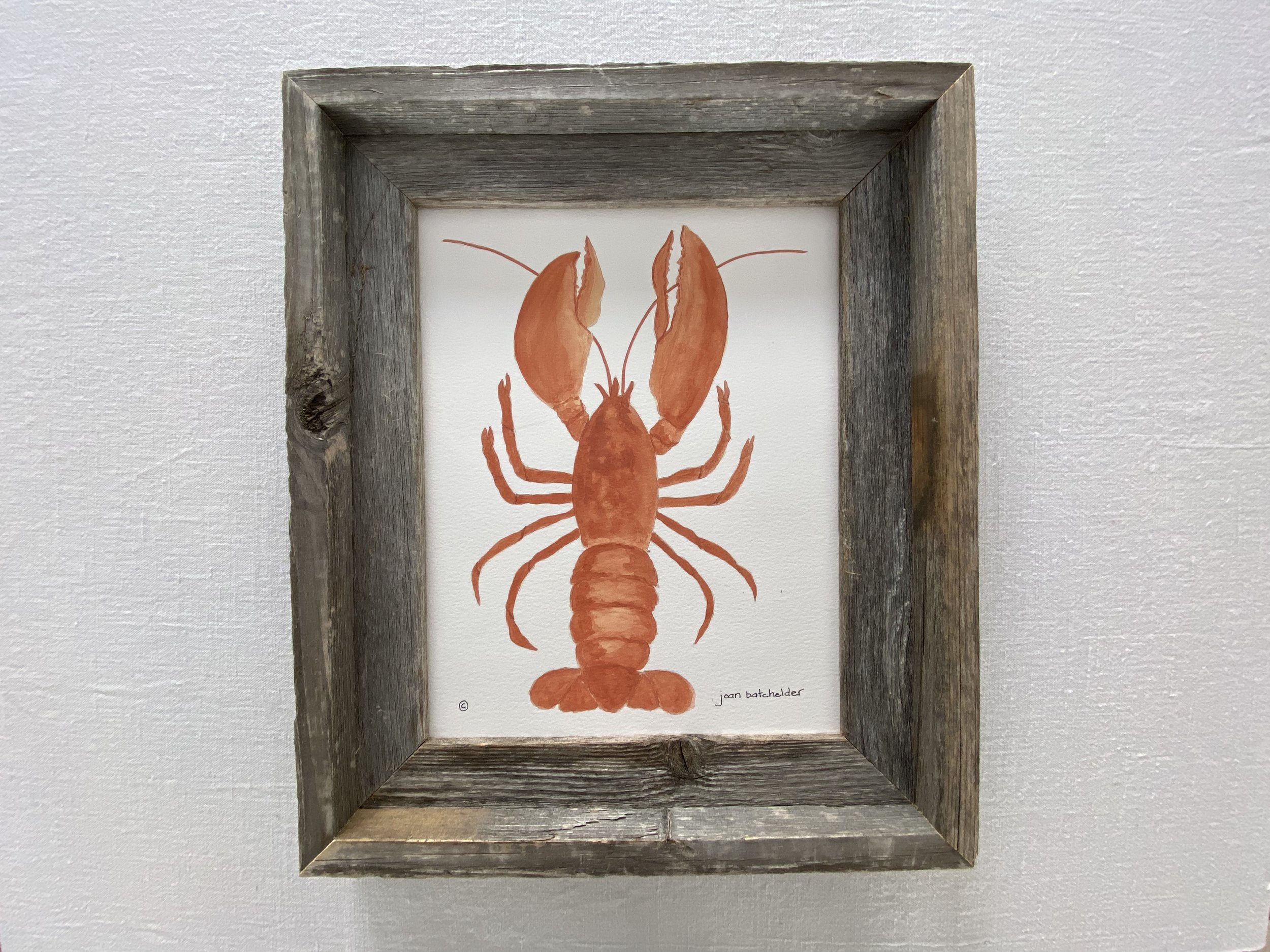 "Maine Lobster"