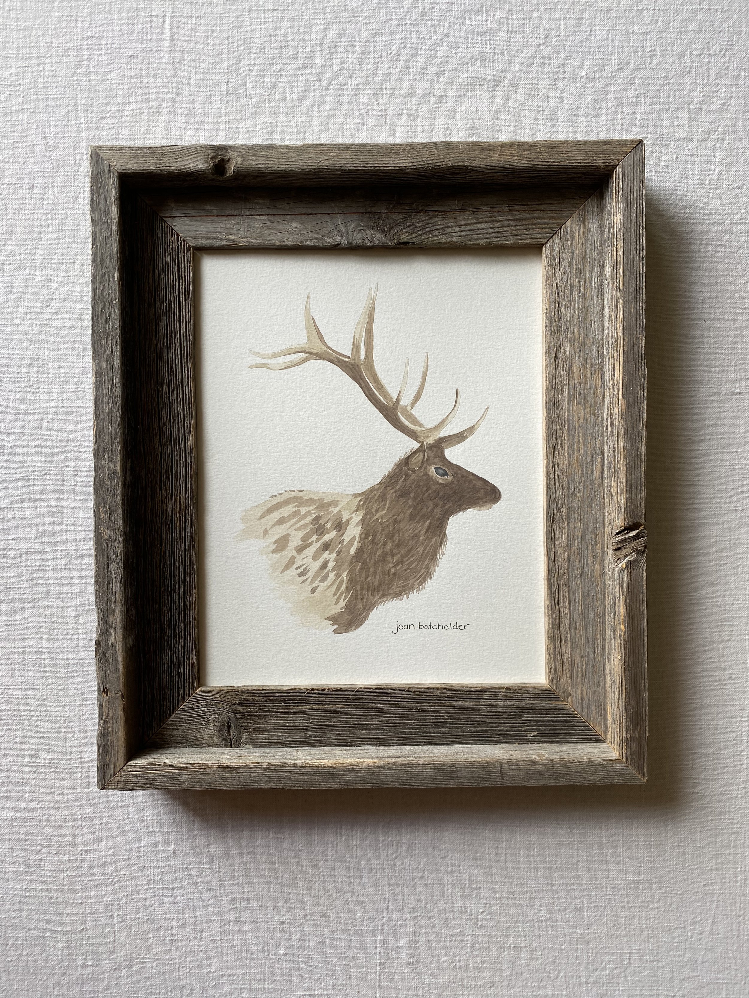 "Elk"