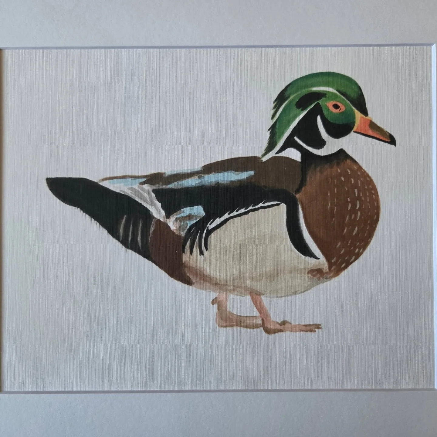 Wood Duck!