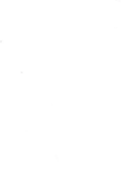 White.JPG
