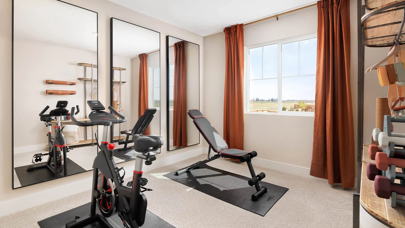 Untitled-1_0002_Lucia_Plan_1619_Home_Gym.jpg