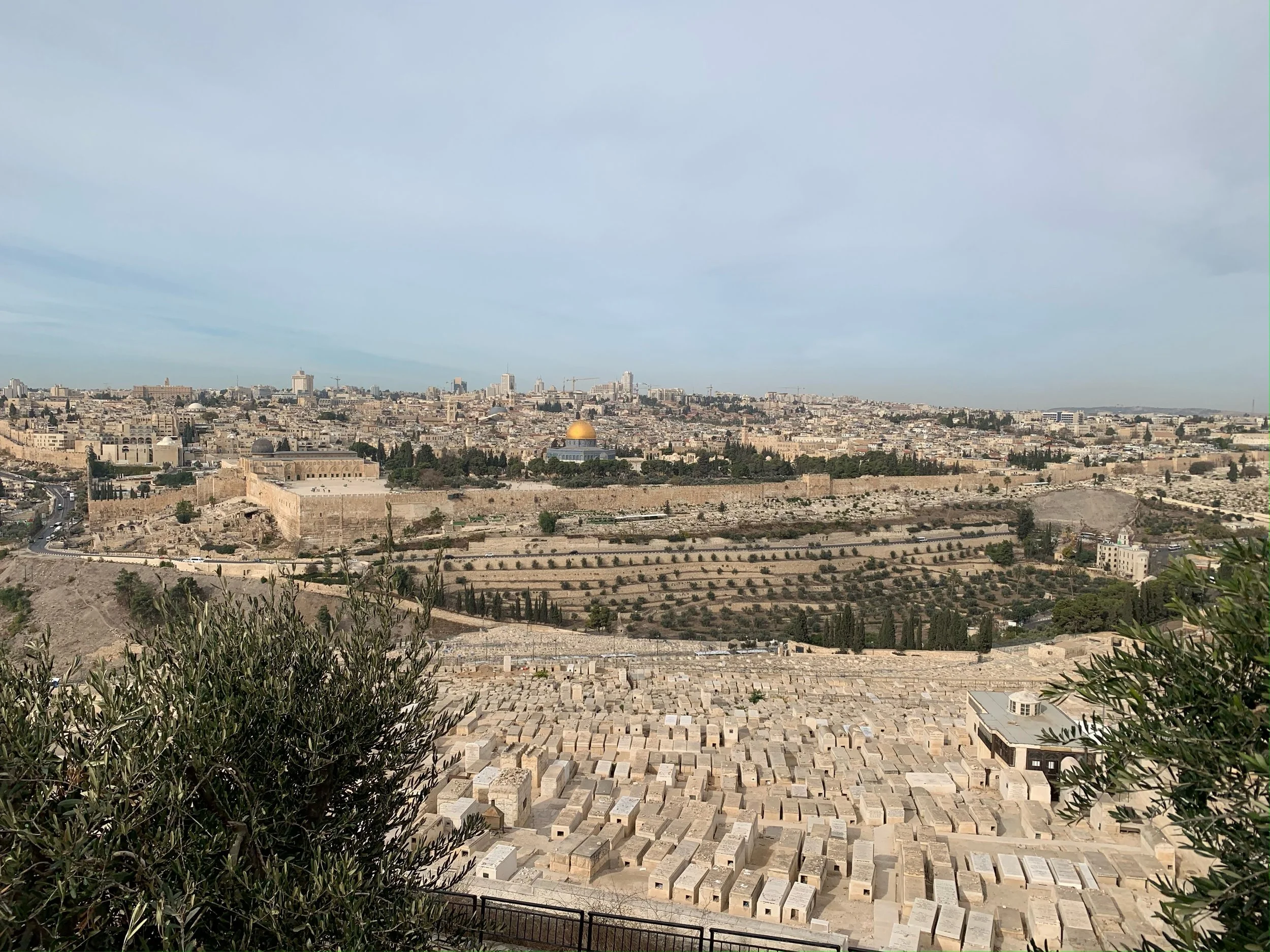 IMG_3877.jpeg