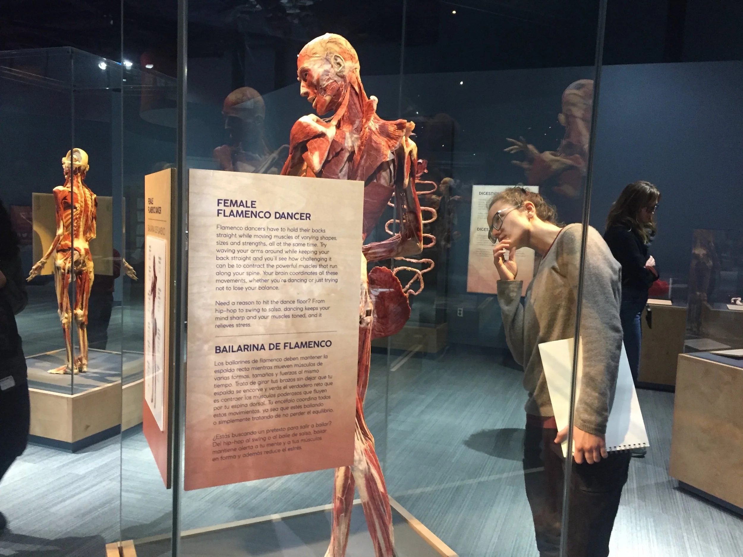 female flamenco-min.jpeg