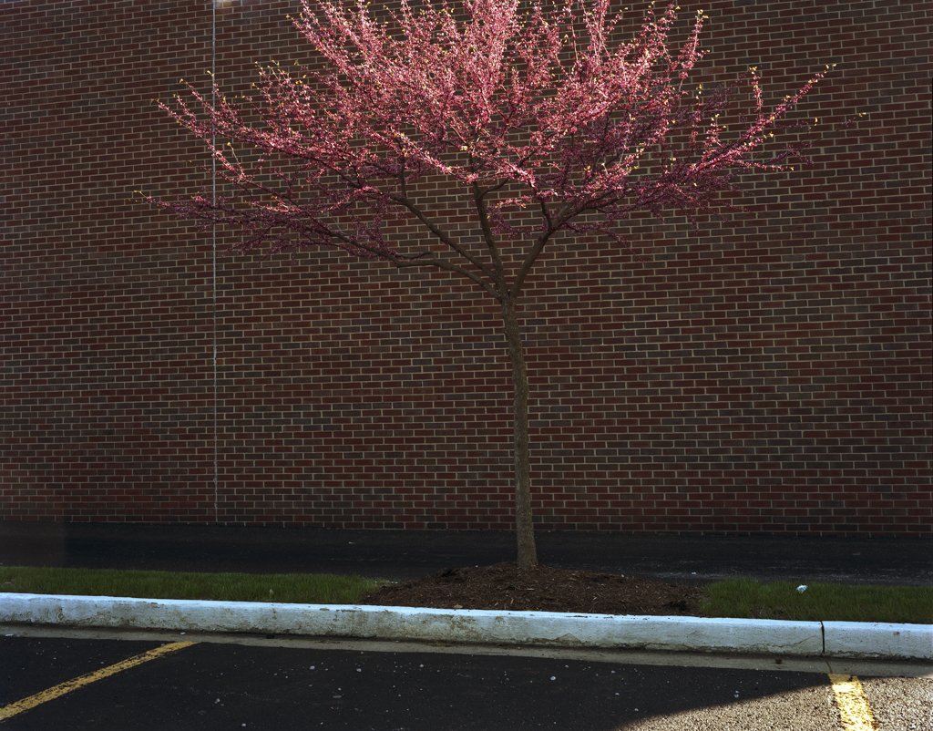 Arby'sParkingLot-LoRes.jpg