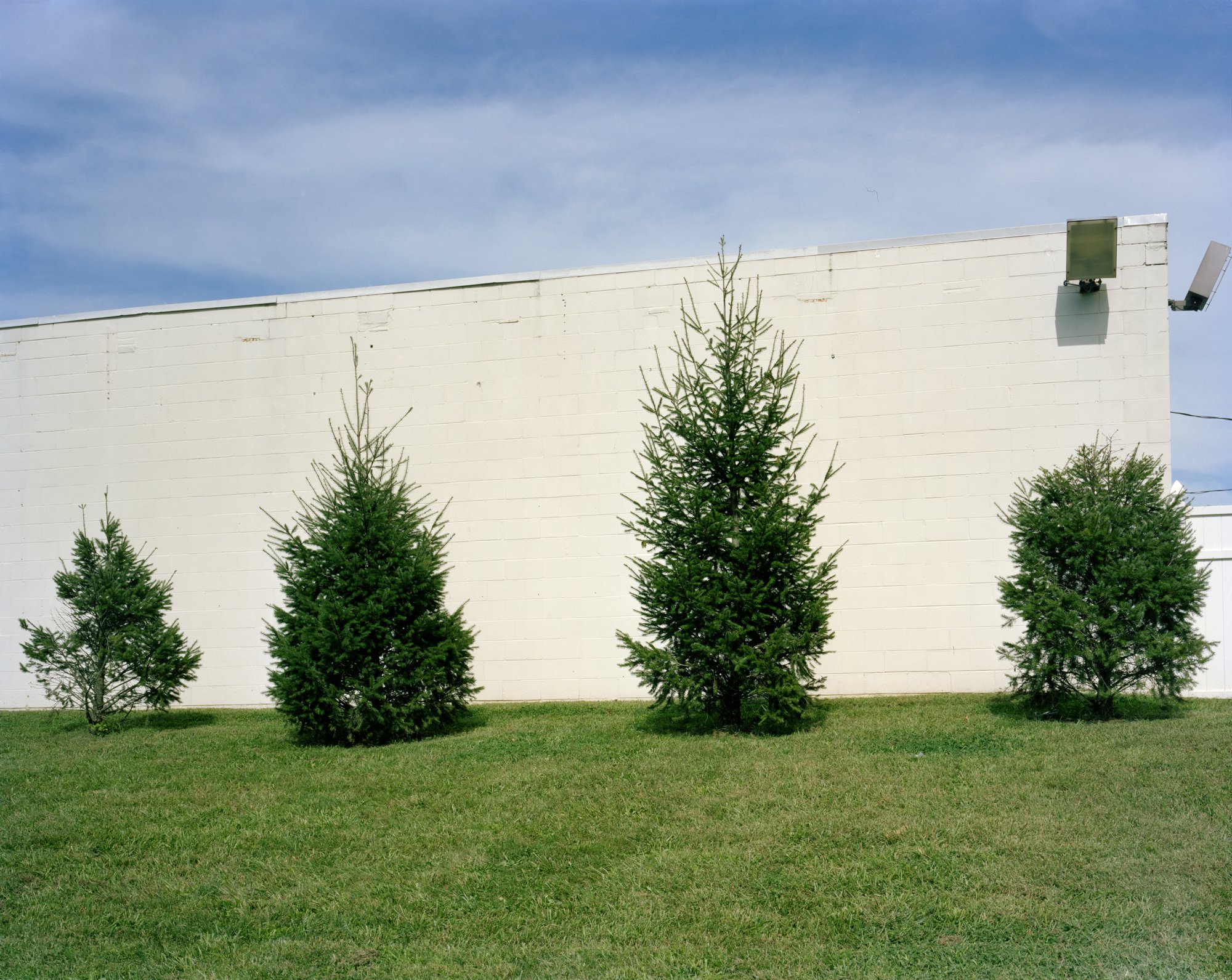 Stripmall_trees.jpg