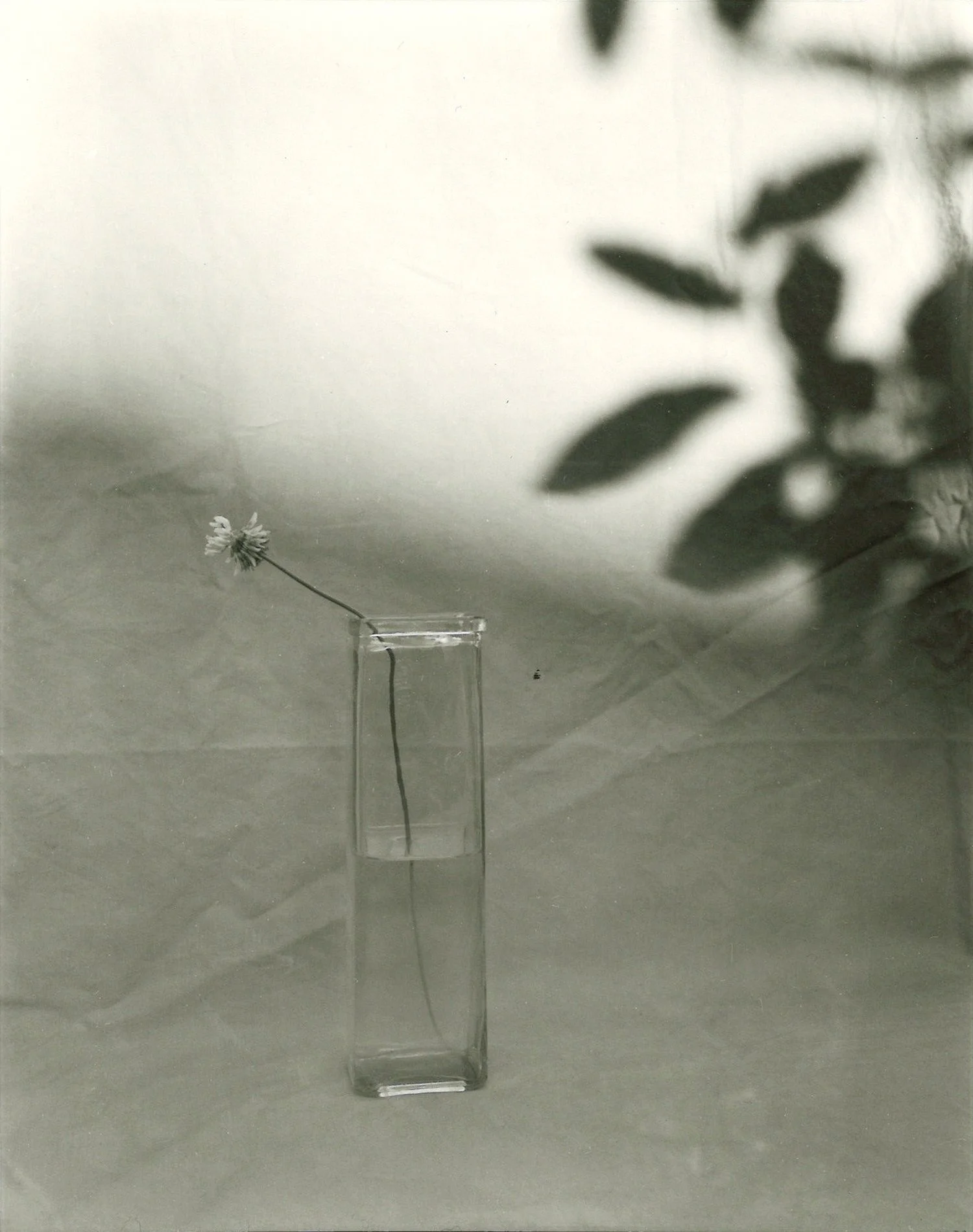 StillLife2.jpg