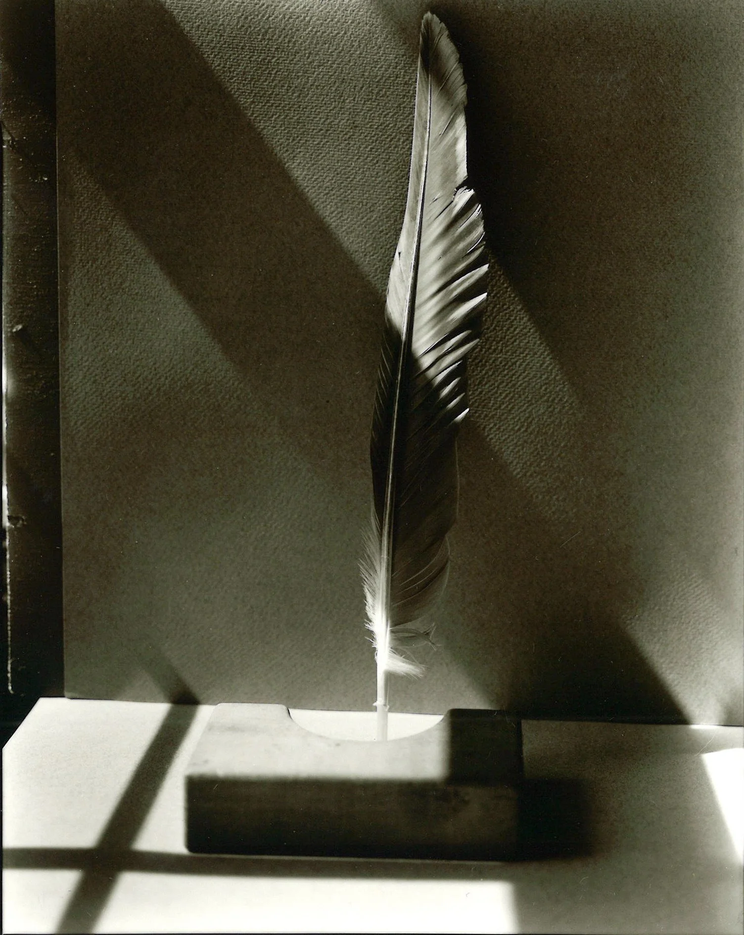 StillLife6.jpg